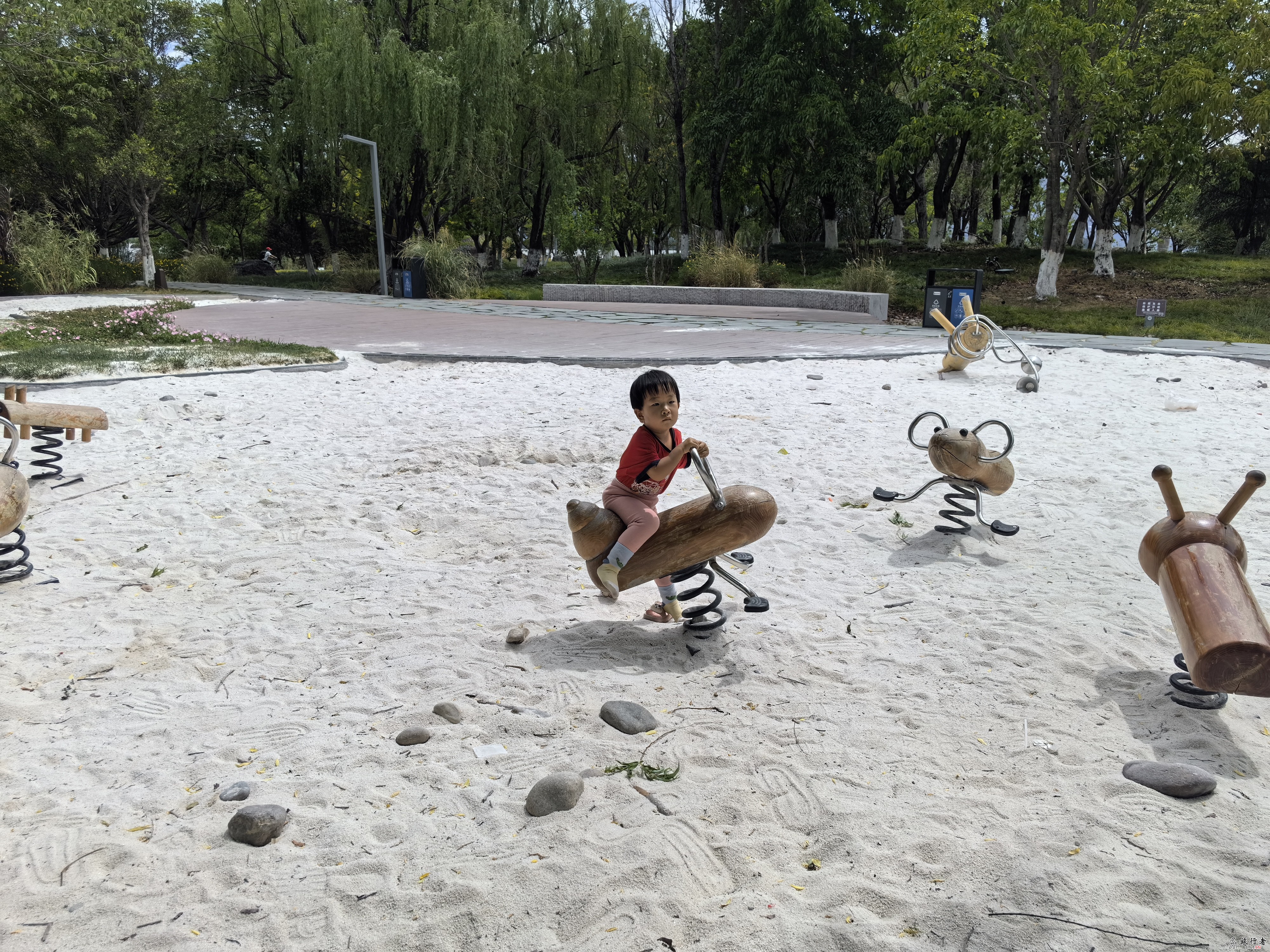 IMG_20240401_122019.jpg