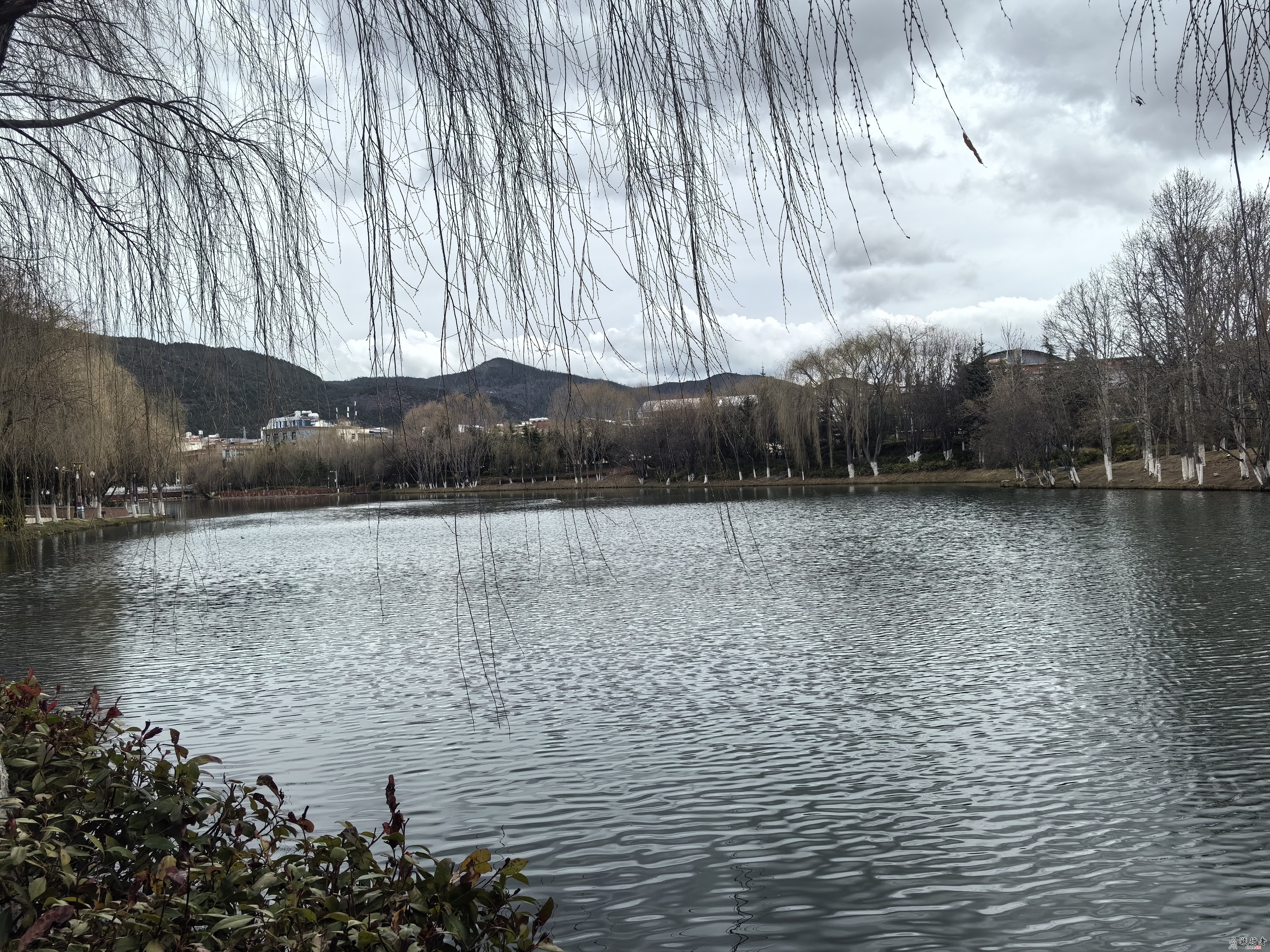 IMG_20240322_151505.jpg