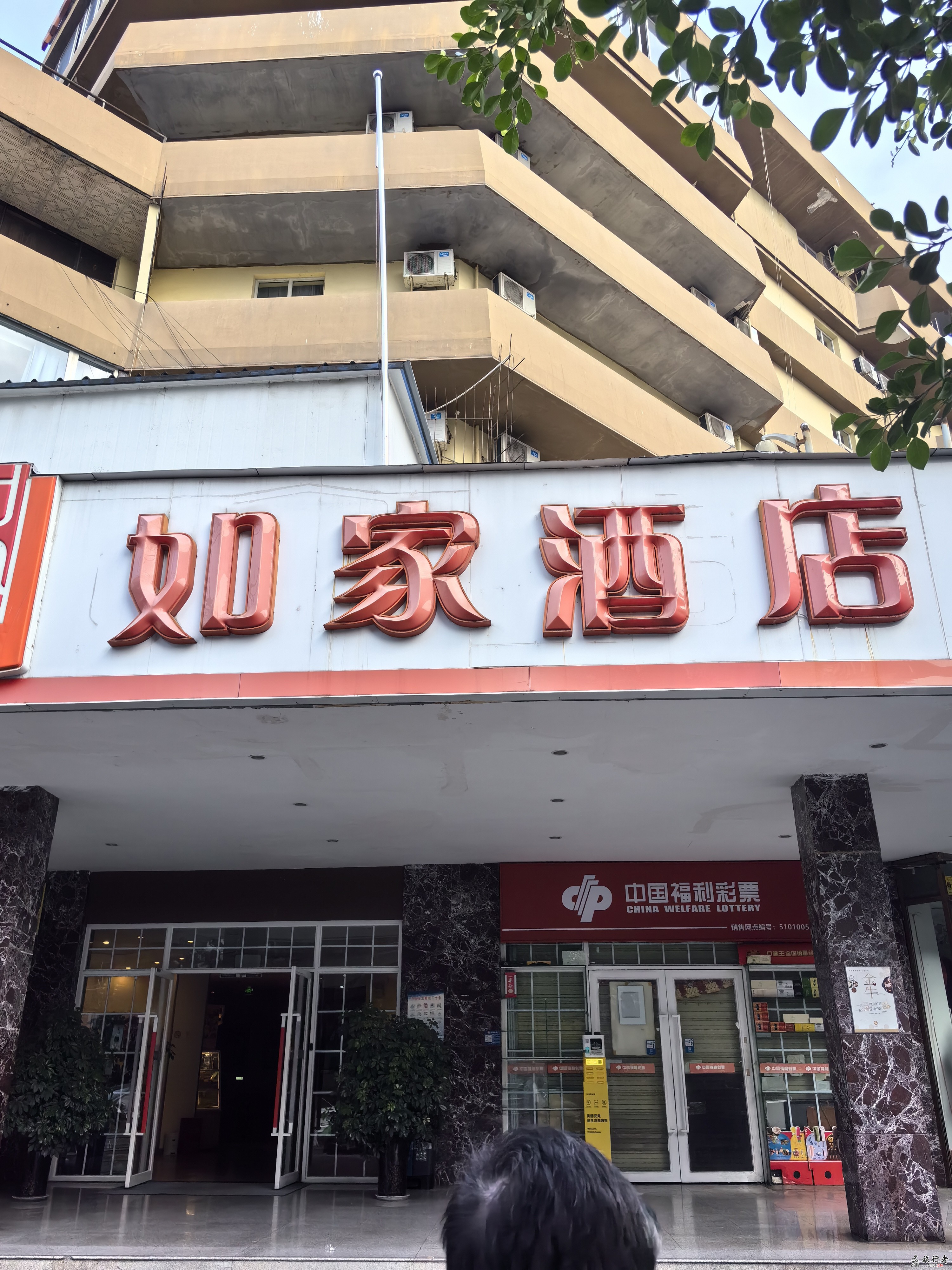 IMG_20240405_090104.jpg
