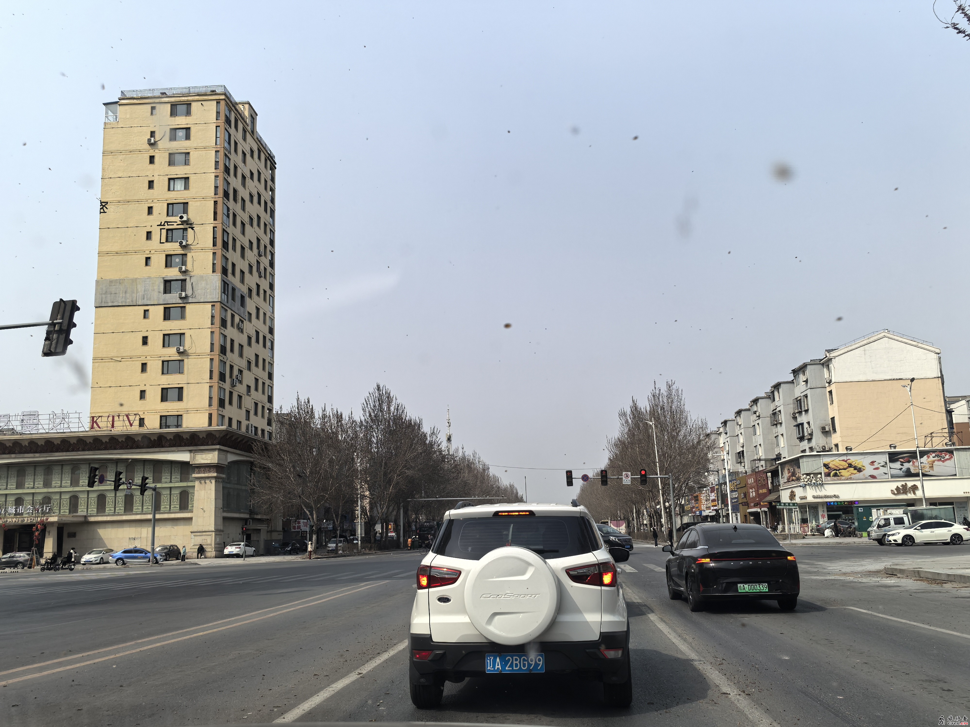 IMG_20250404_101811.jpg