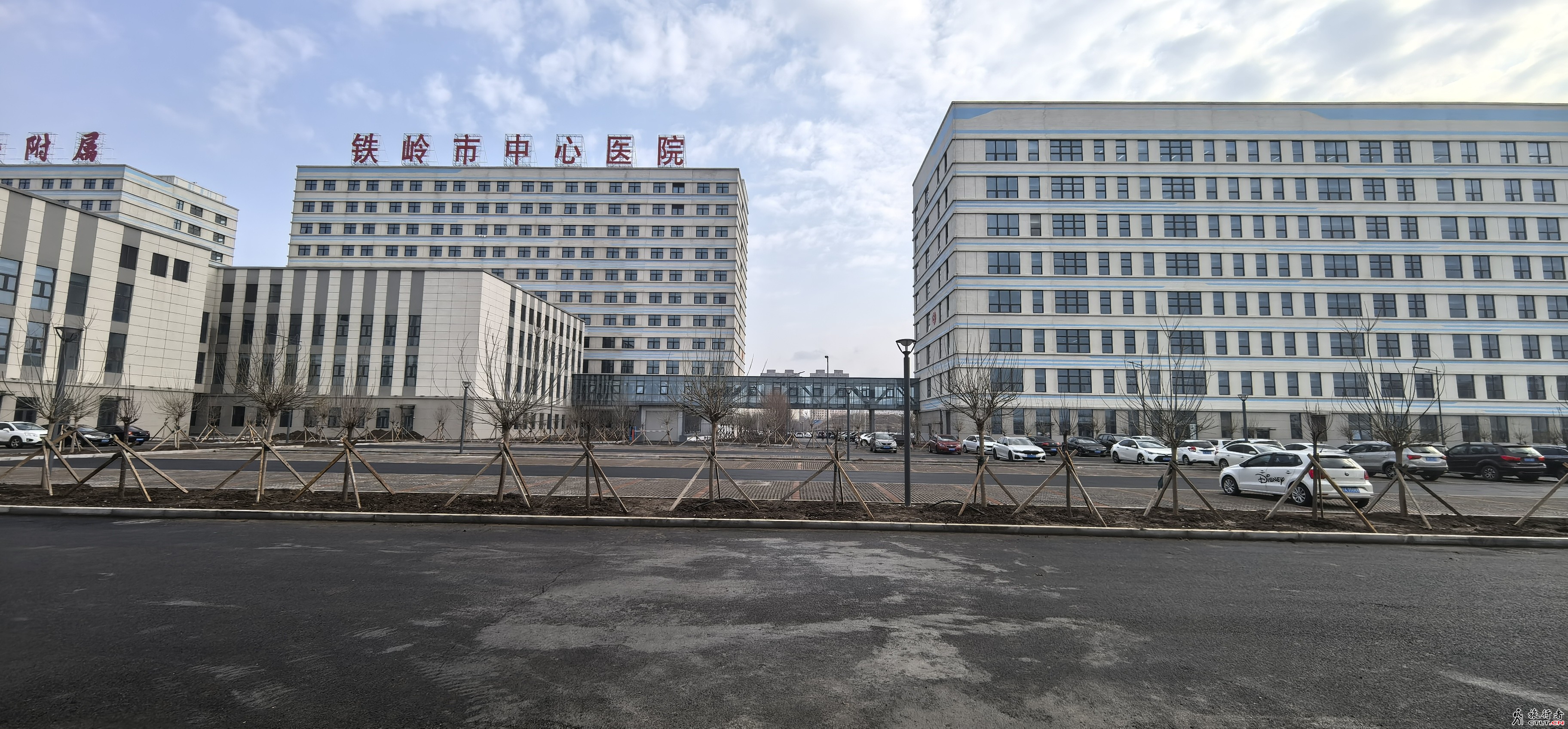 IMG_20250405_081732.jpg