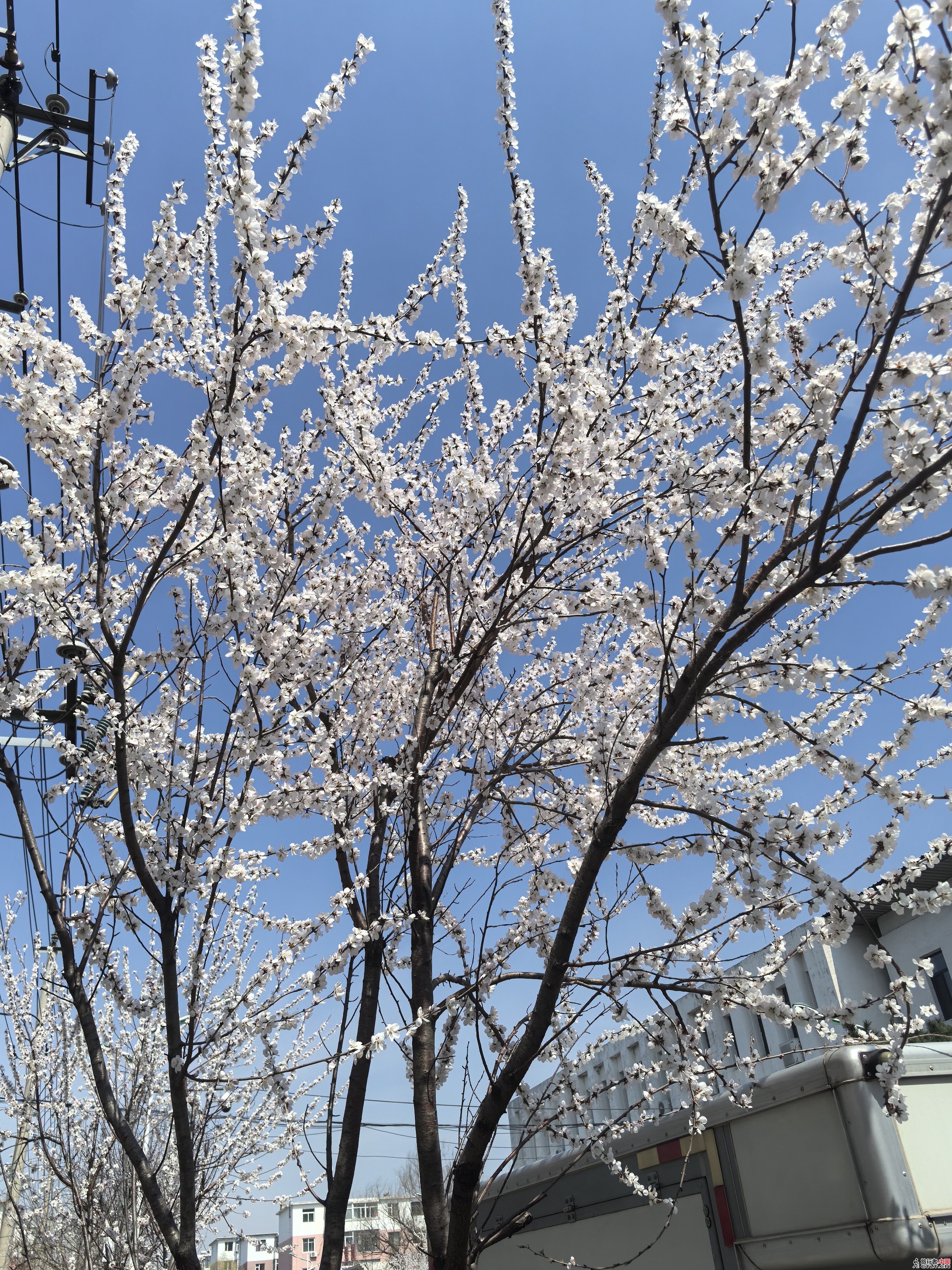 IMG_20250410_104914.jpg