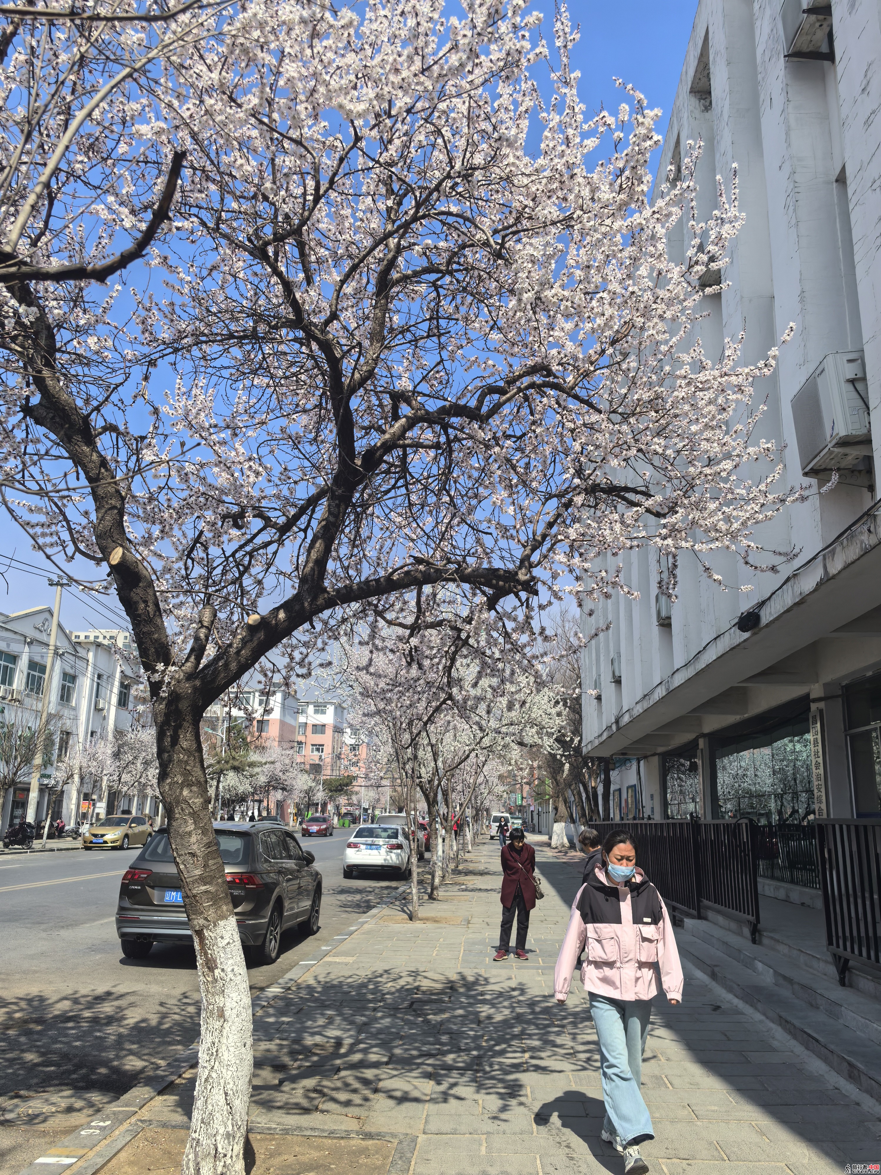IMG_20250410_104950.jpg