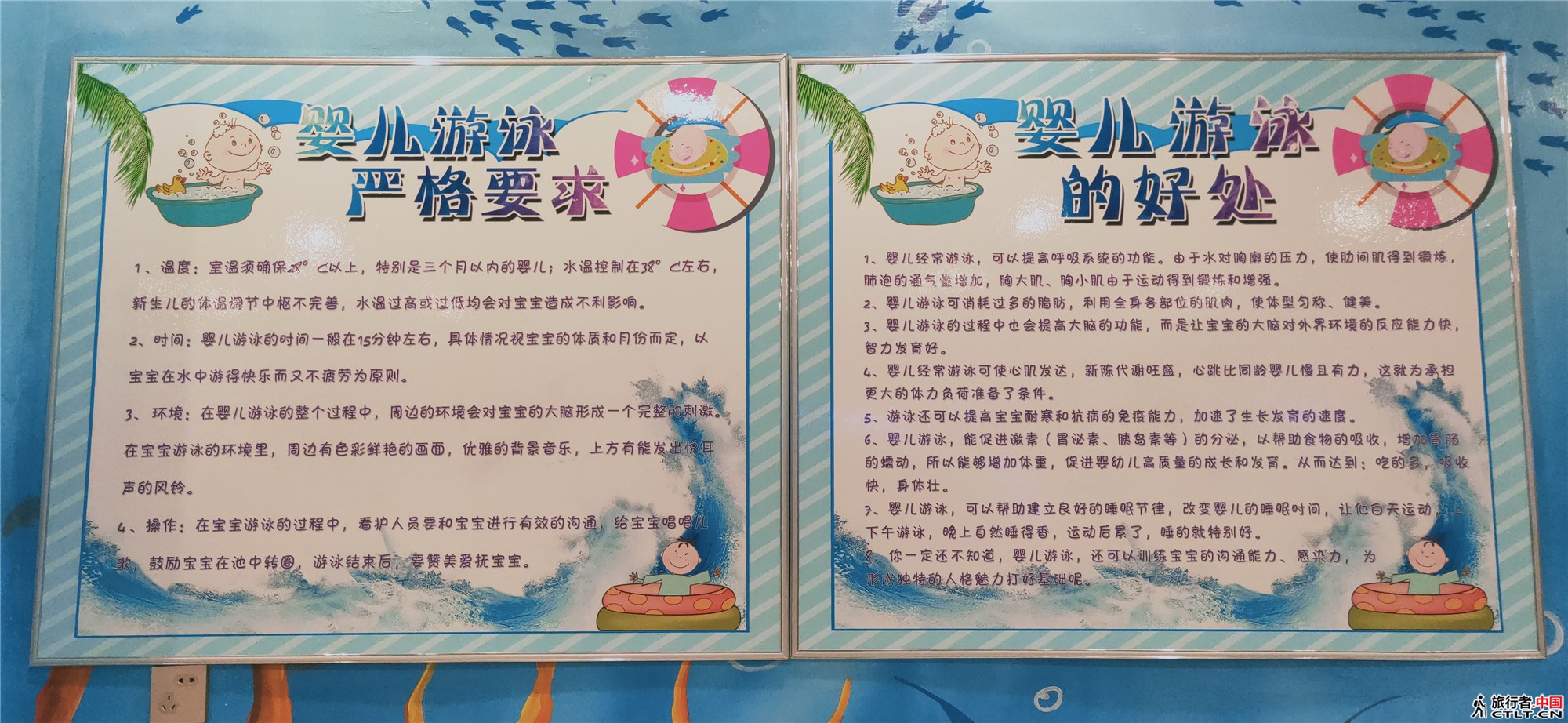IMG20190105100545.jpg