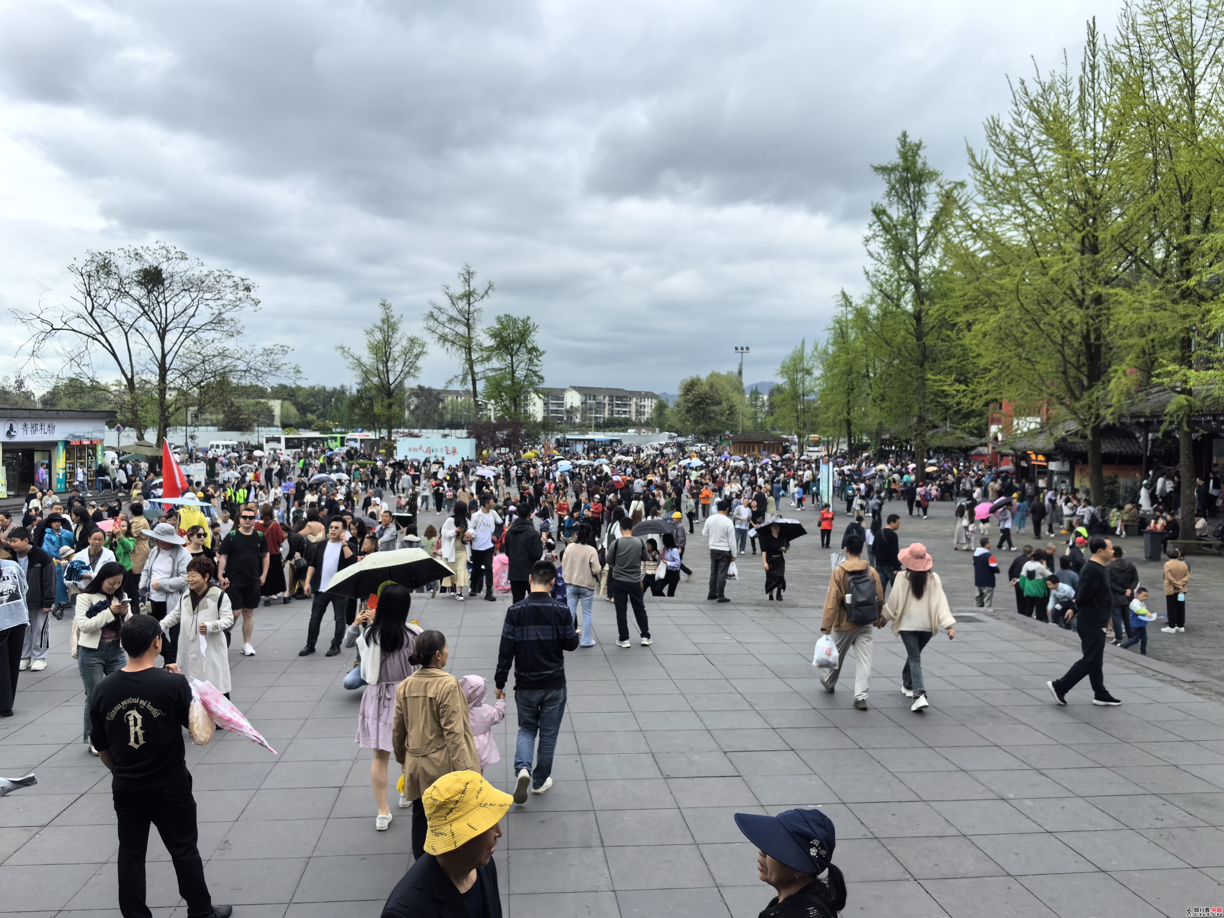 IMG_20240405_143953.jpg