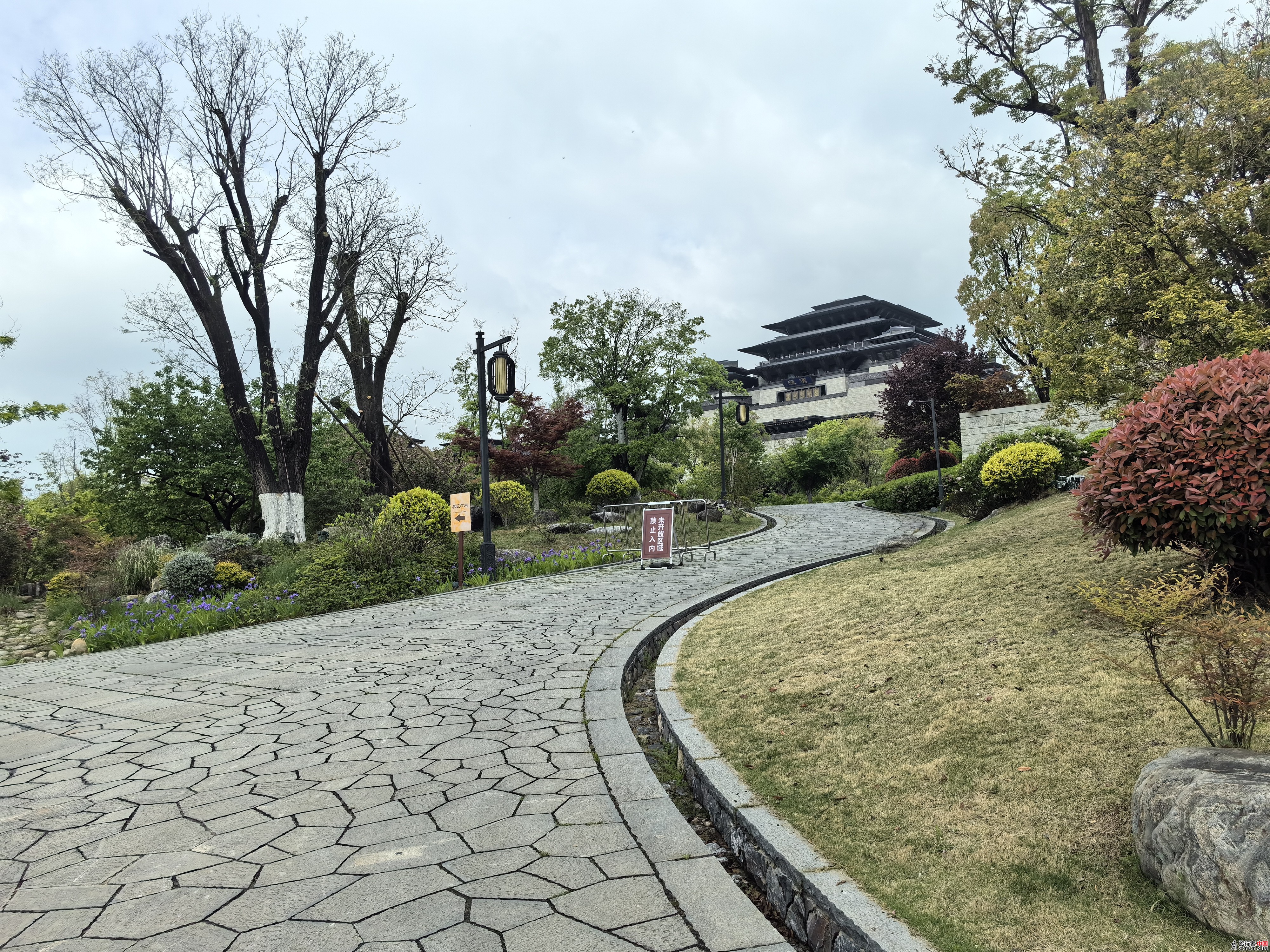 IMG_20240410_111740.jpg