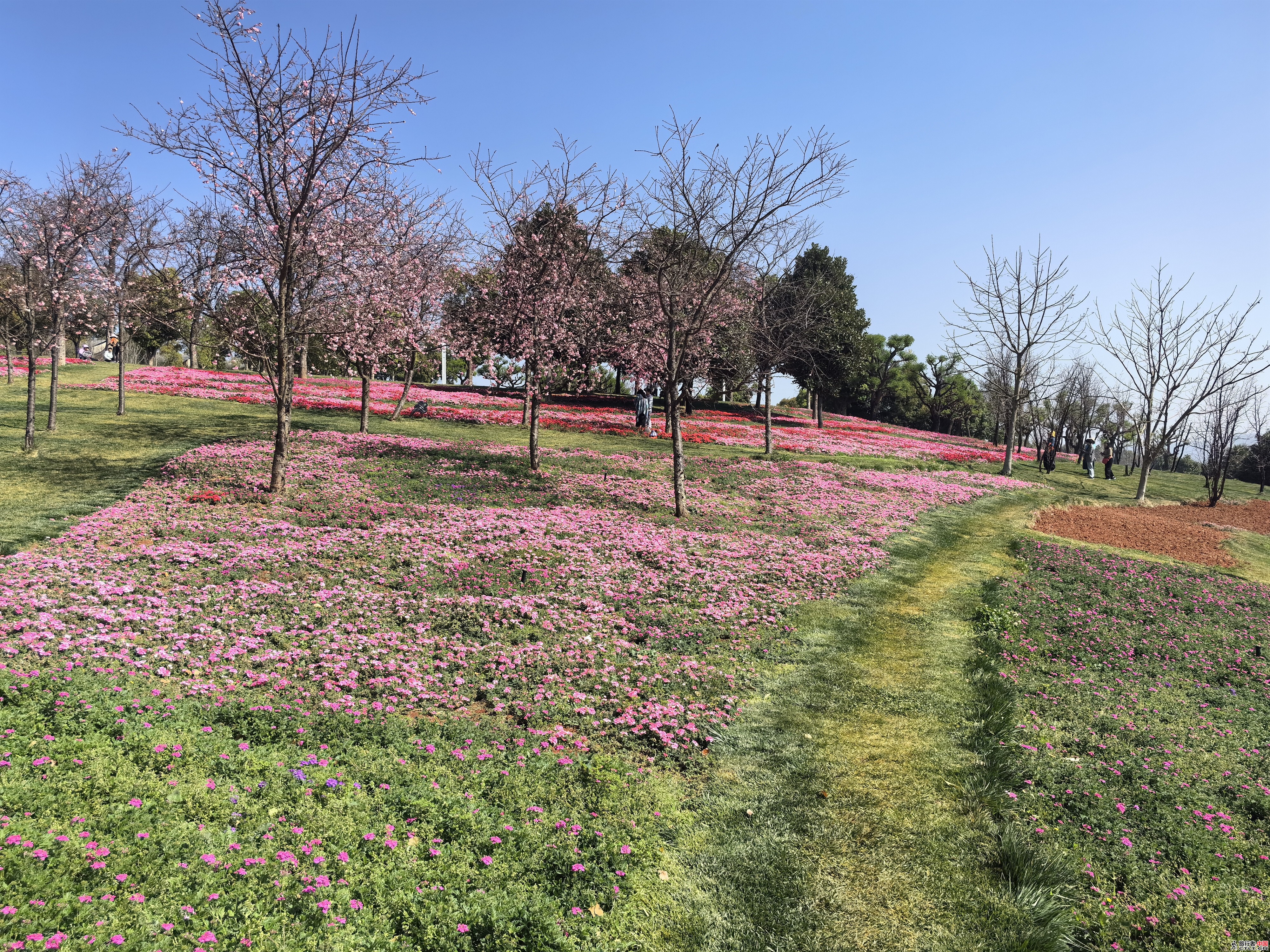 IMG_20240307_110549.jpg