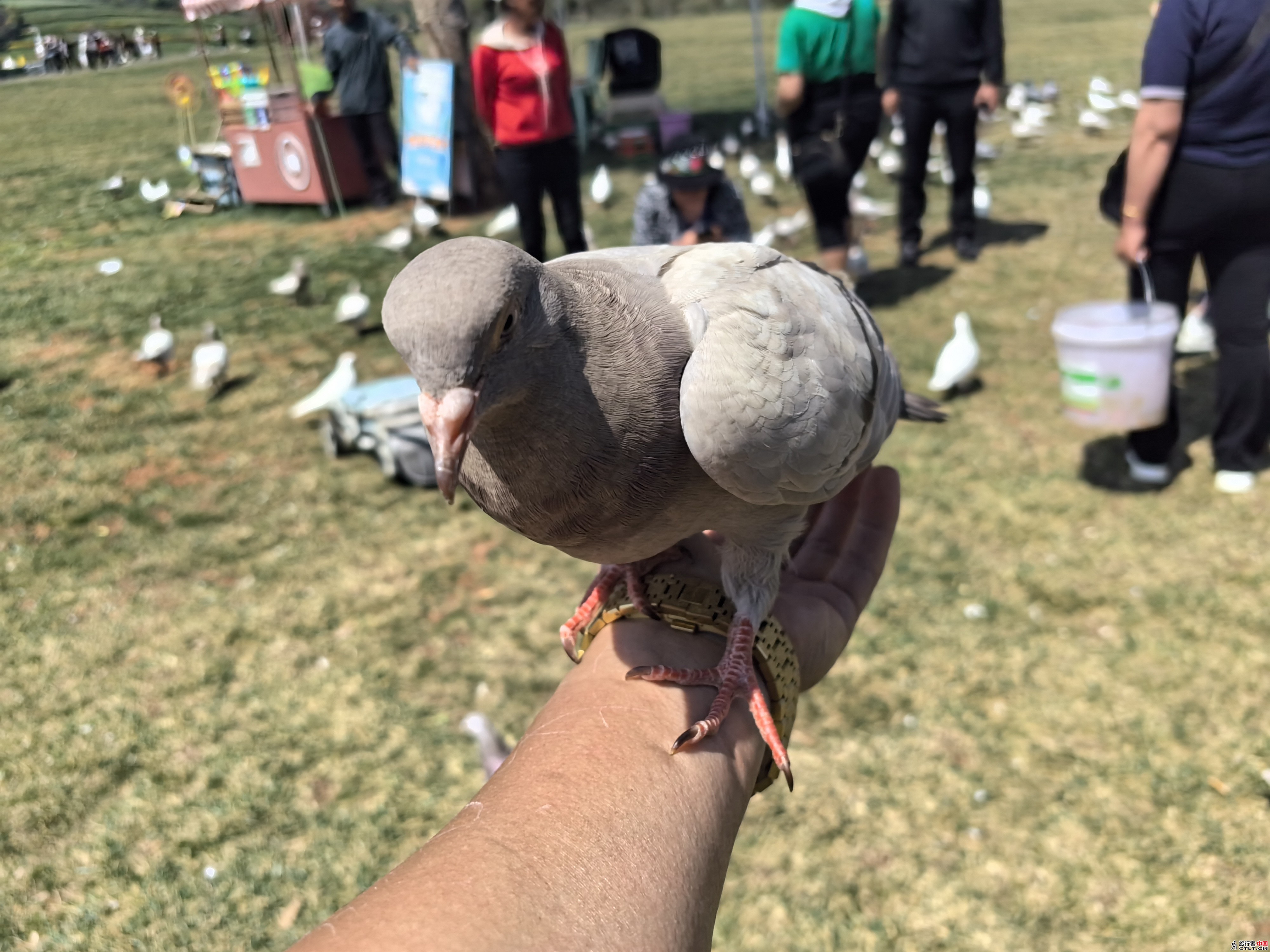 IMG_20240307_133637.jpg