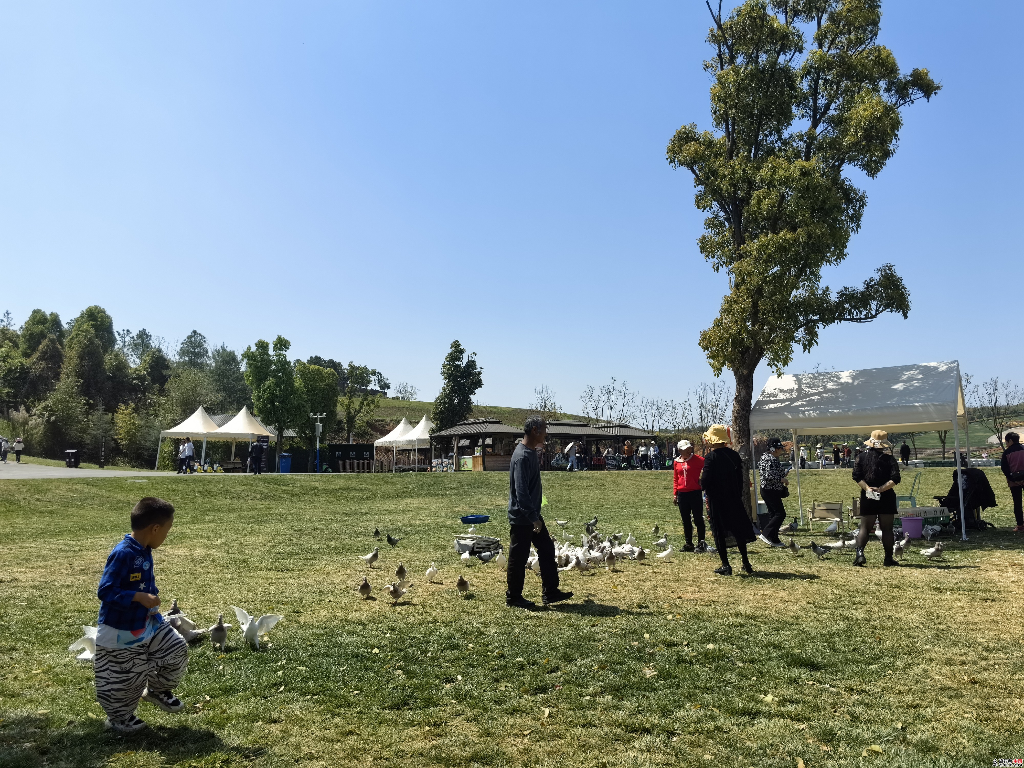 IMG_20240307_133820.jpg