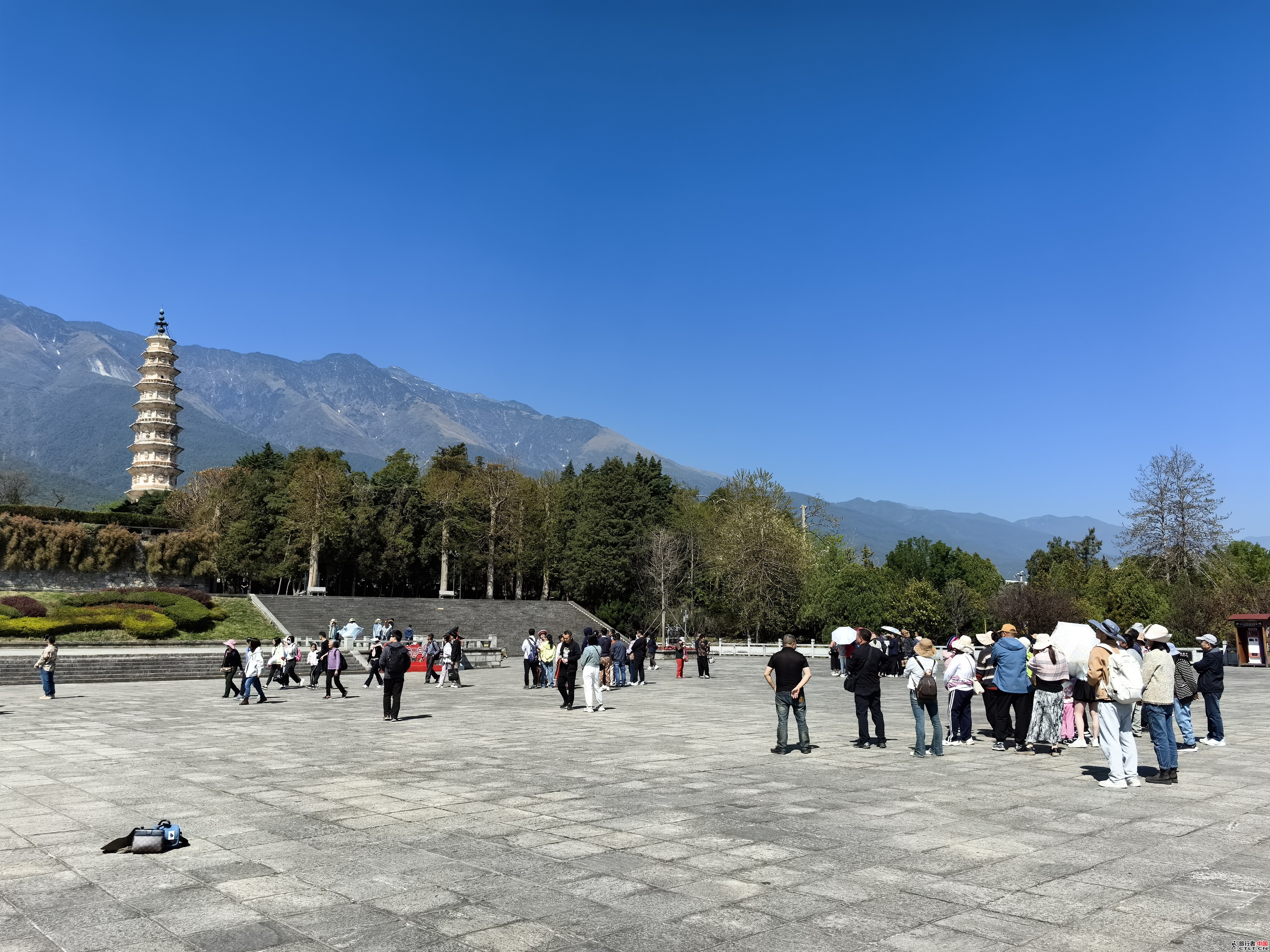 IMG_20240316_112655.jpg