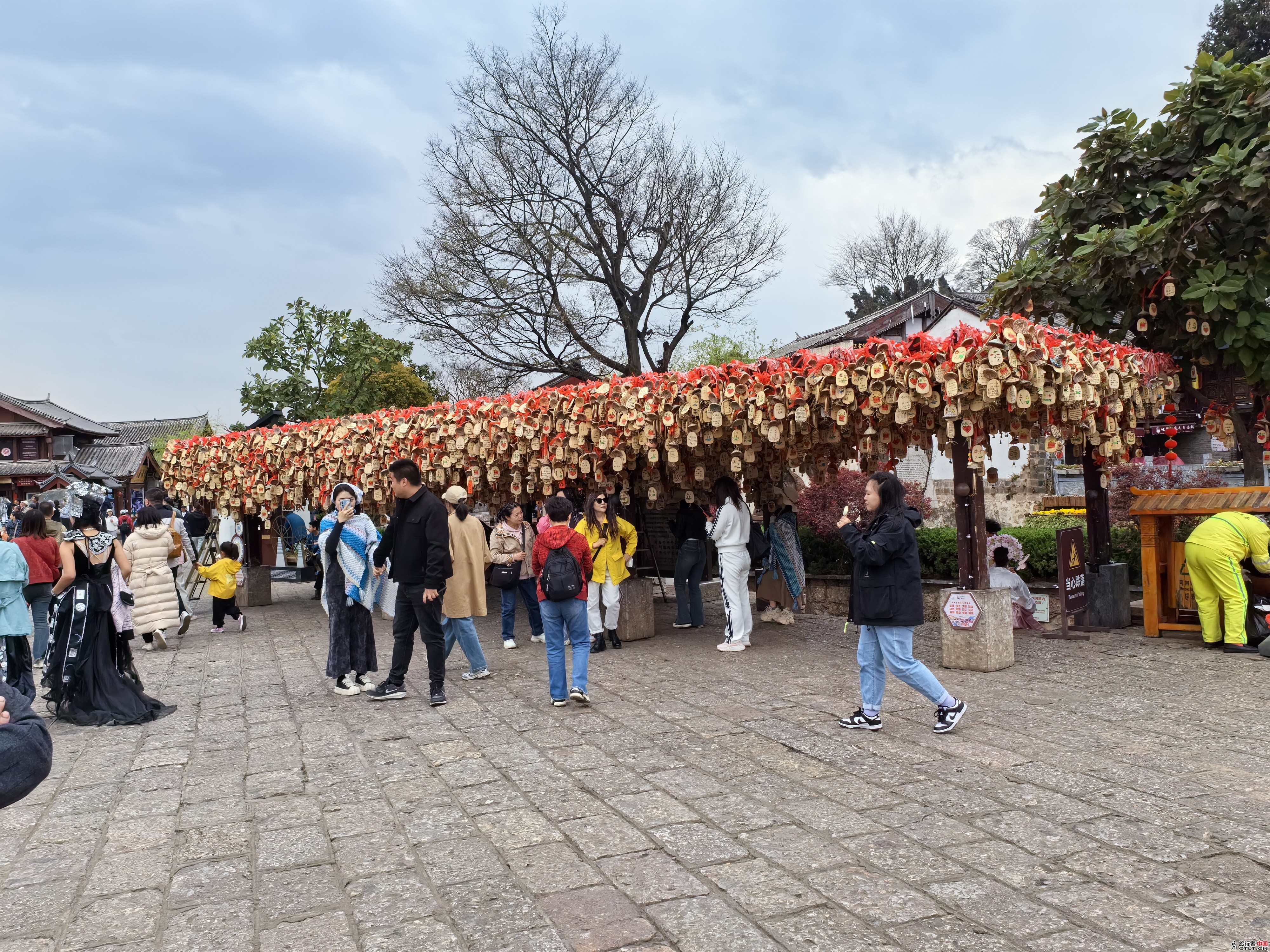 IMG_20240320_141338.jpg