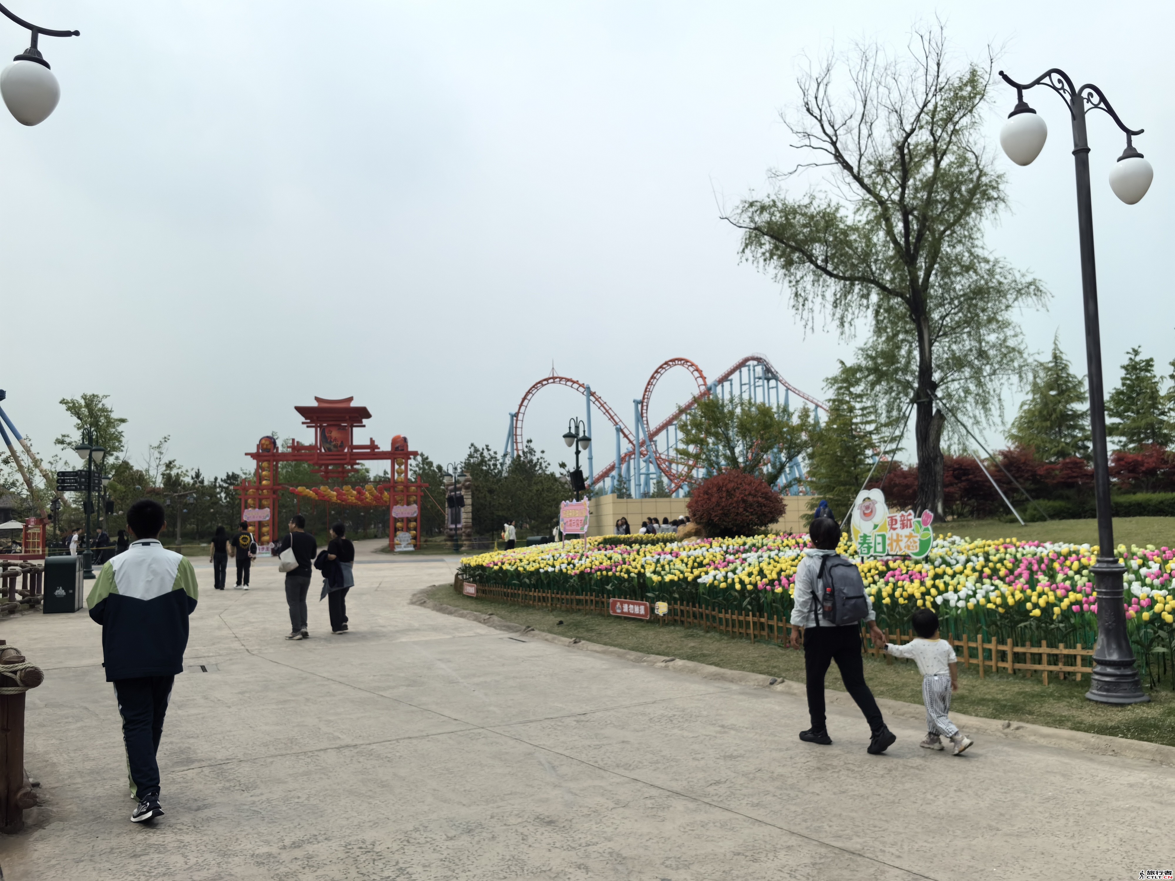 IMG_20240423_135449.jpg