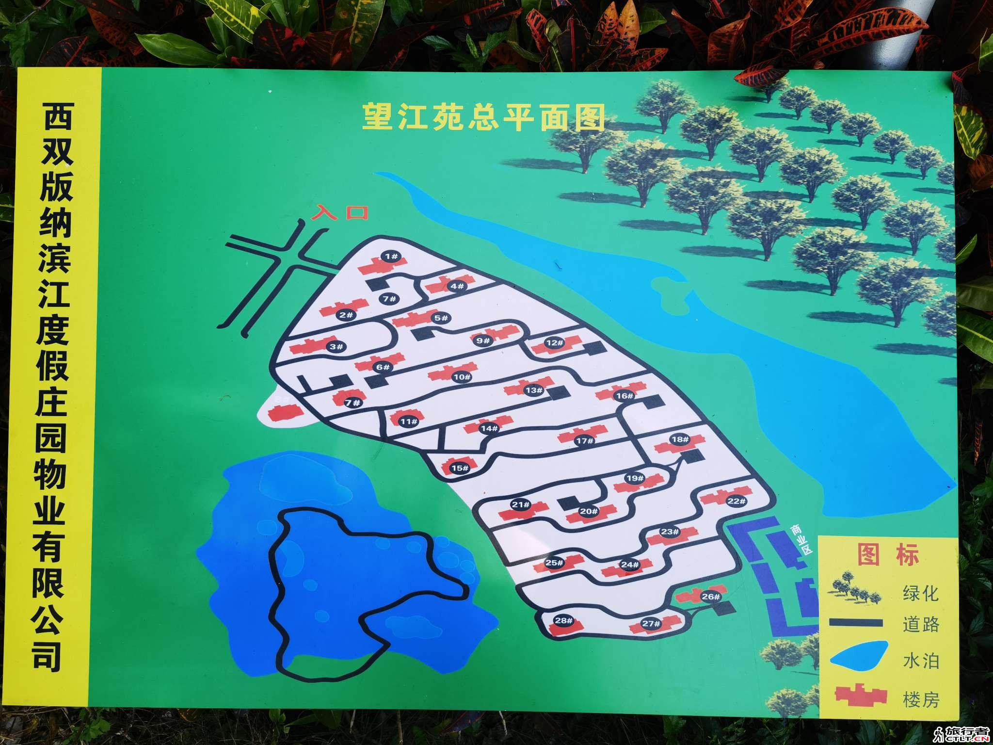 wuji_1745016784770.jpeg