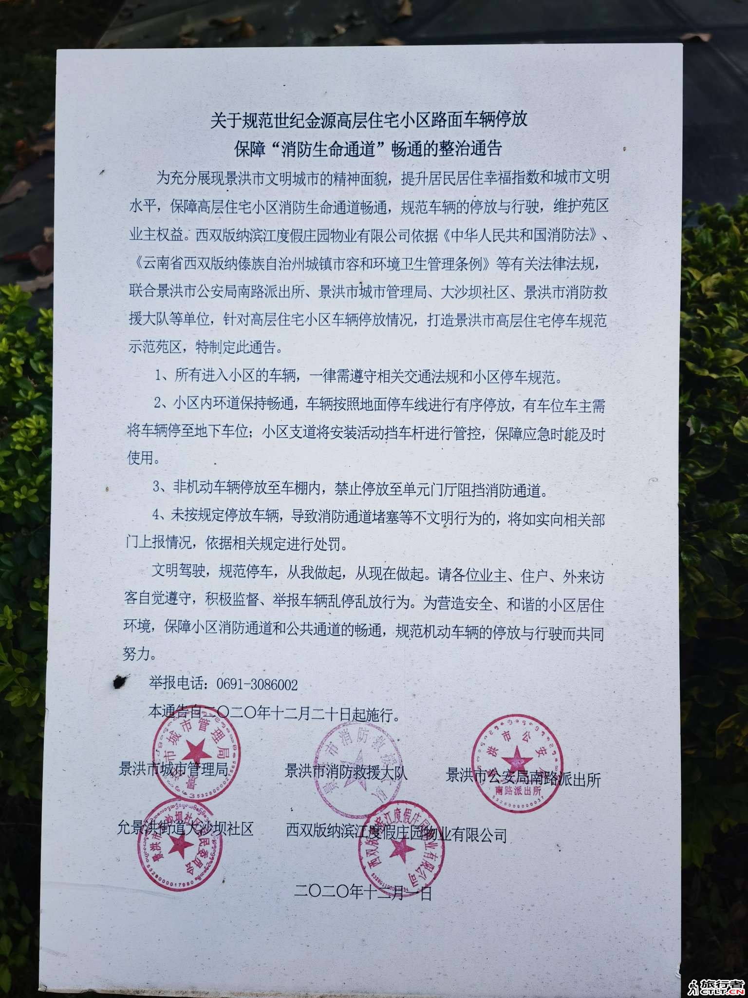 wuji_1745016794131.jpeg