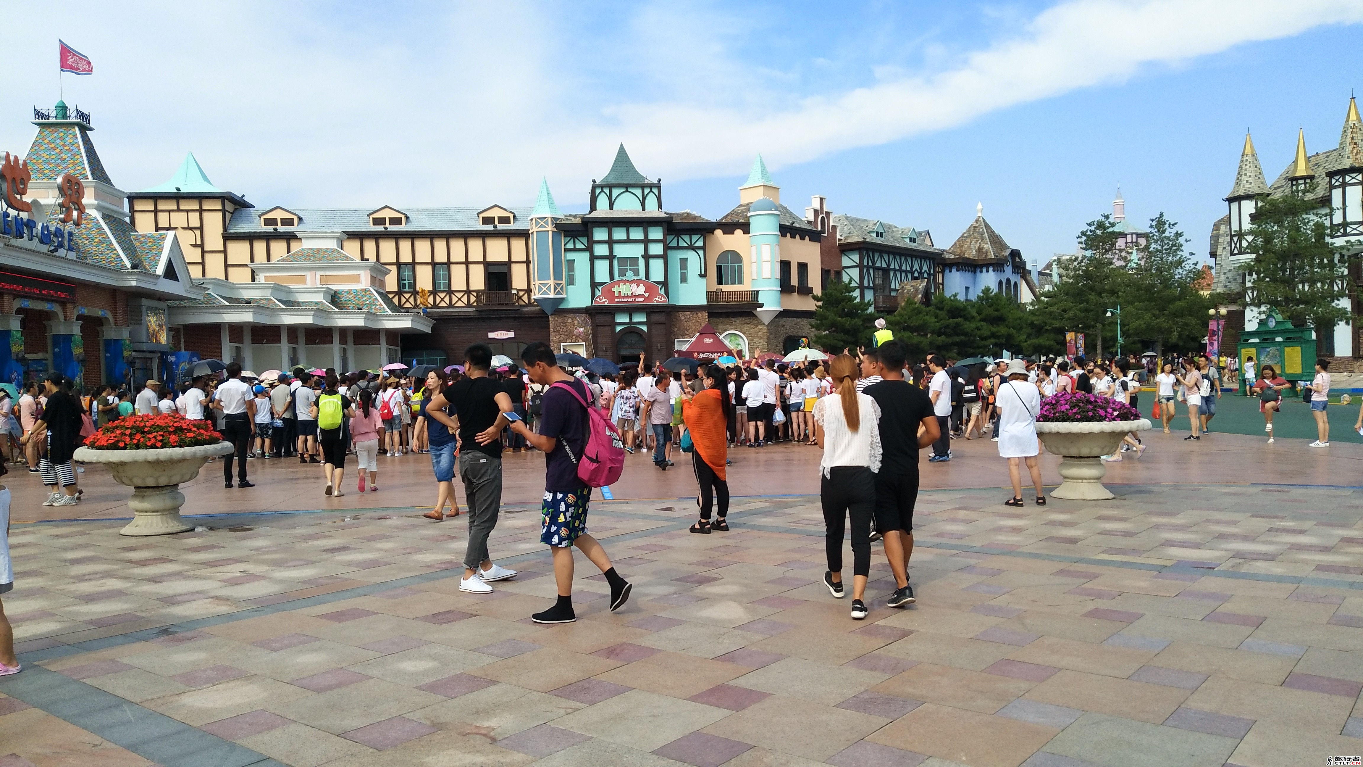 IMG_20170805_084948.jpg