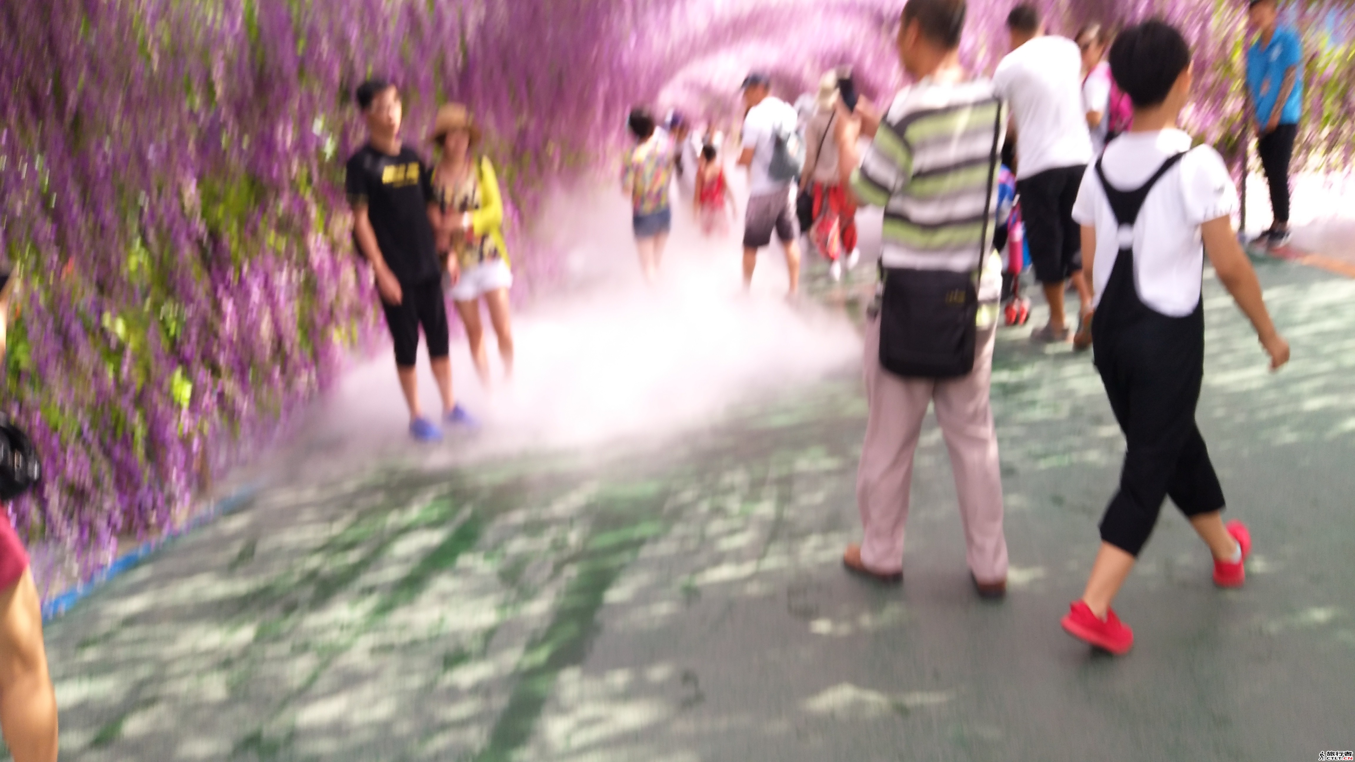 IMG_20170805_094024.jpg
