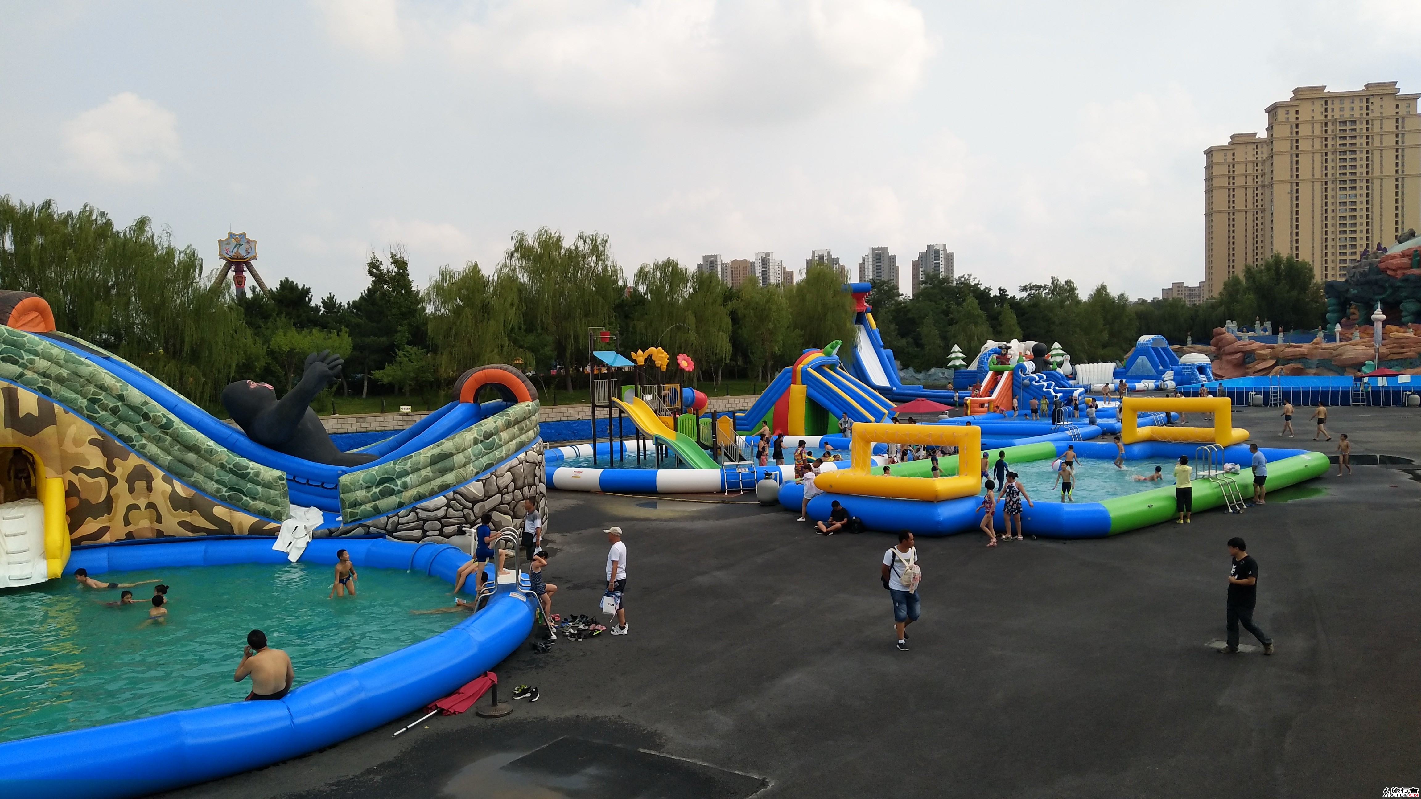 IMG_20170805_144336.jpg