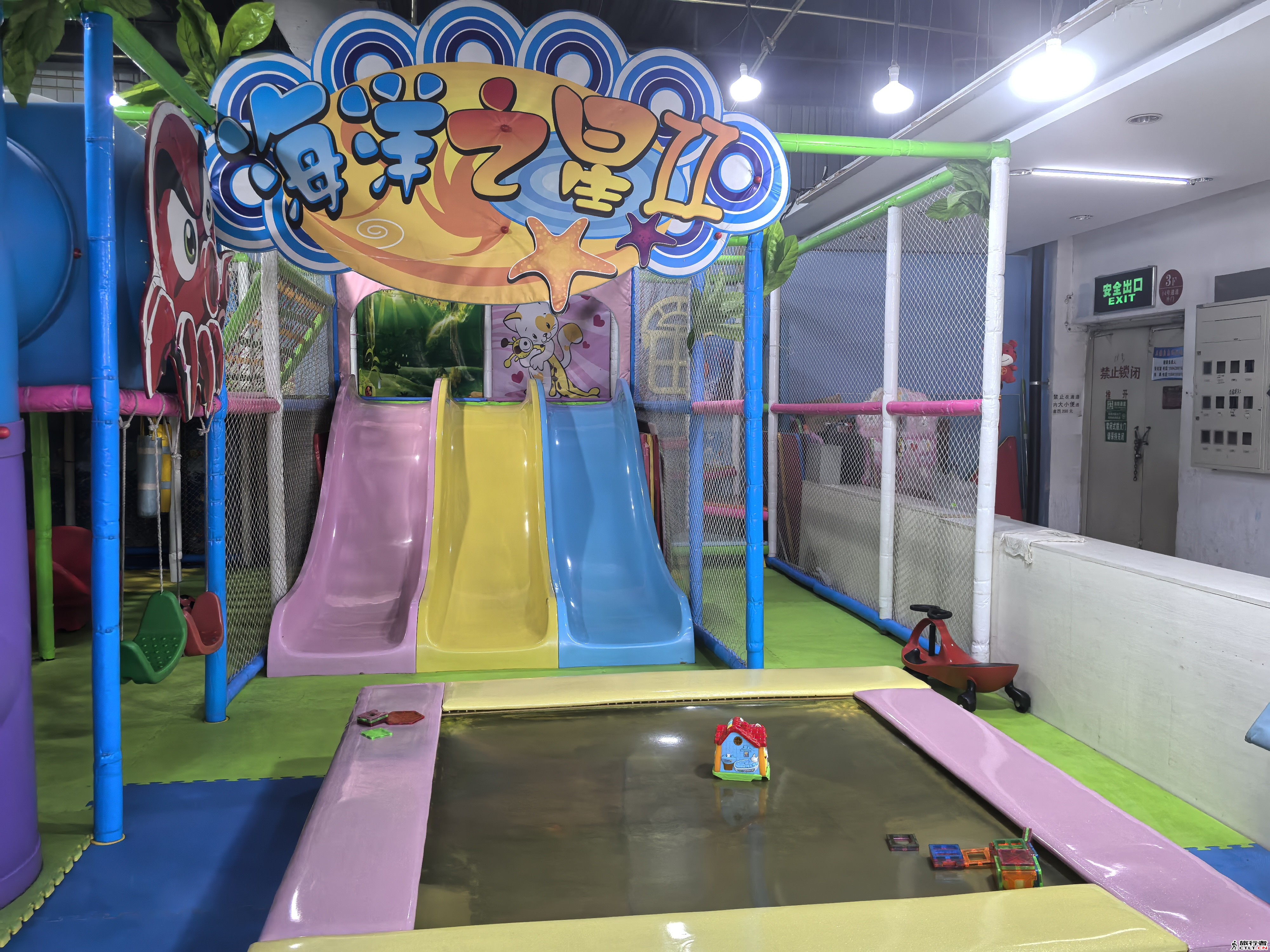 IMG_20250420_090825.jpg