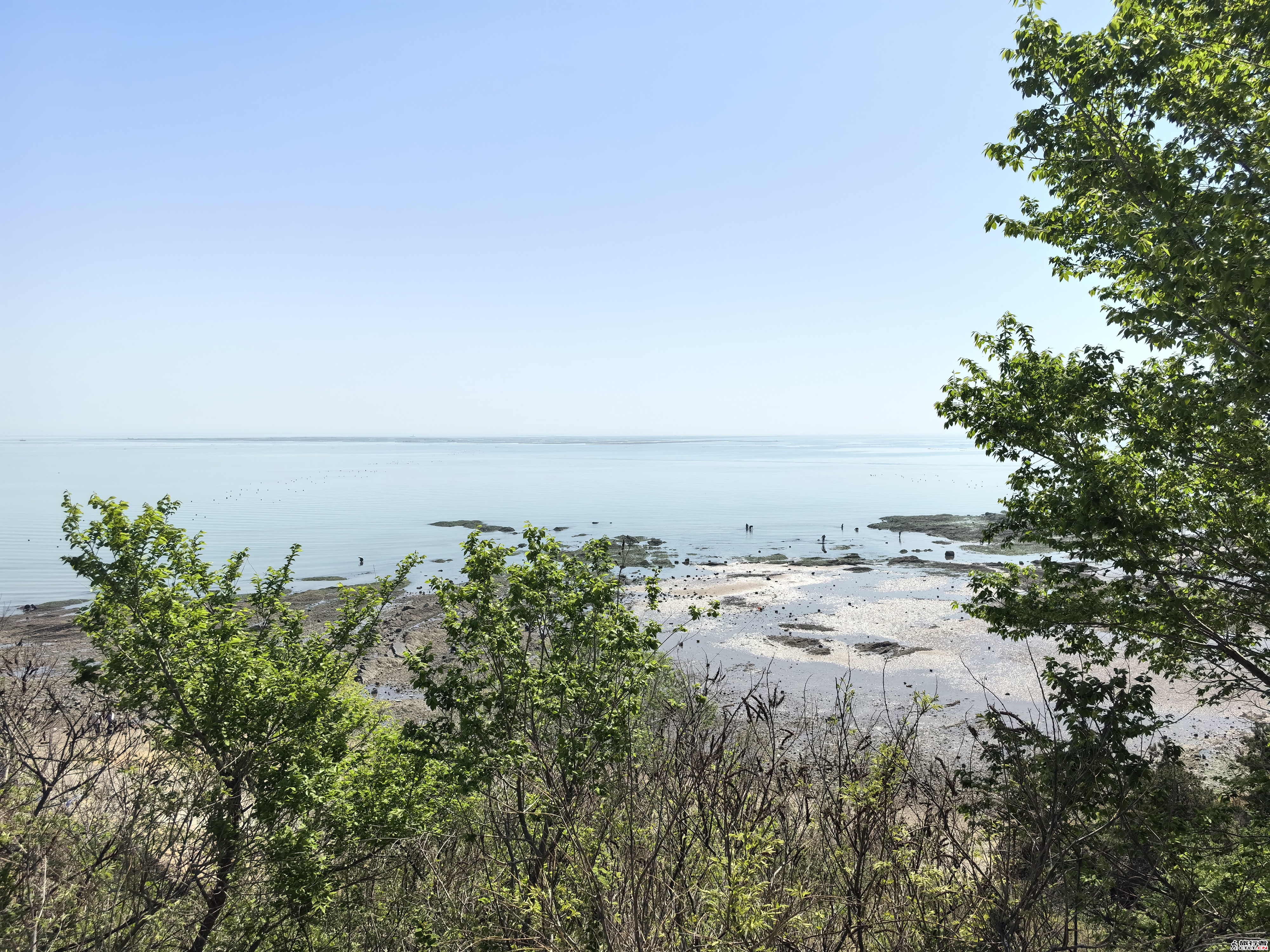 IMG_20240508_101248.jpg