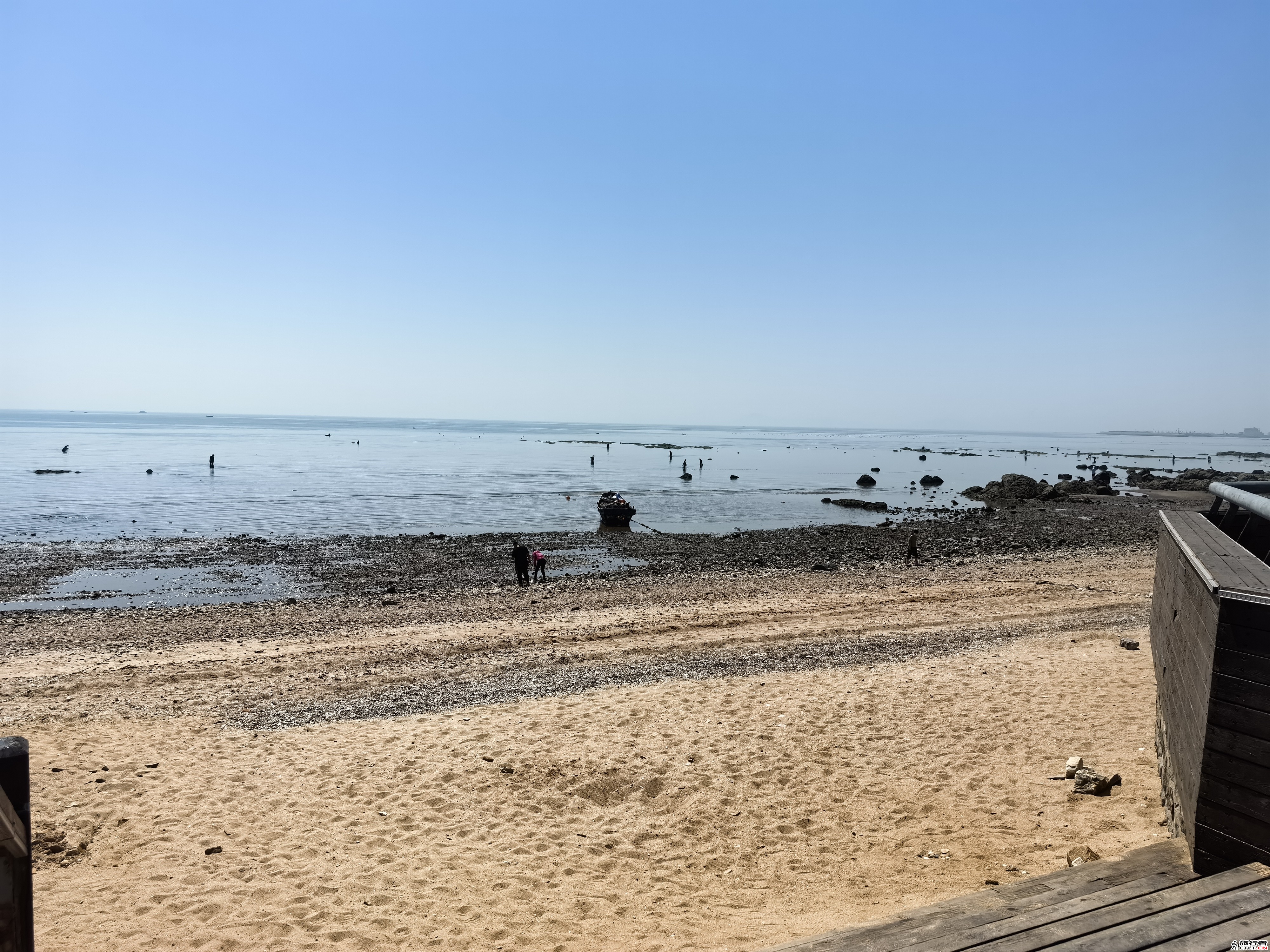 IMG_20240508_105159.jpg
