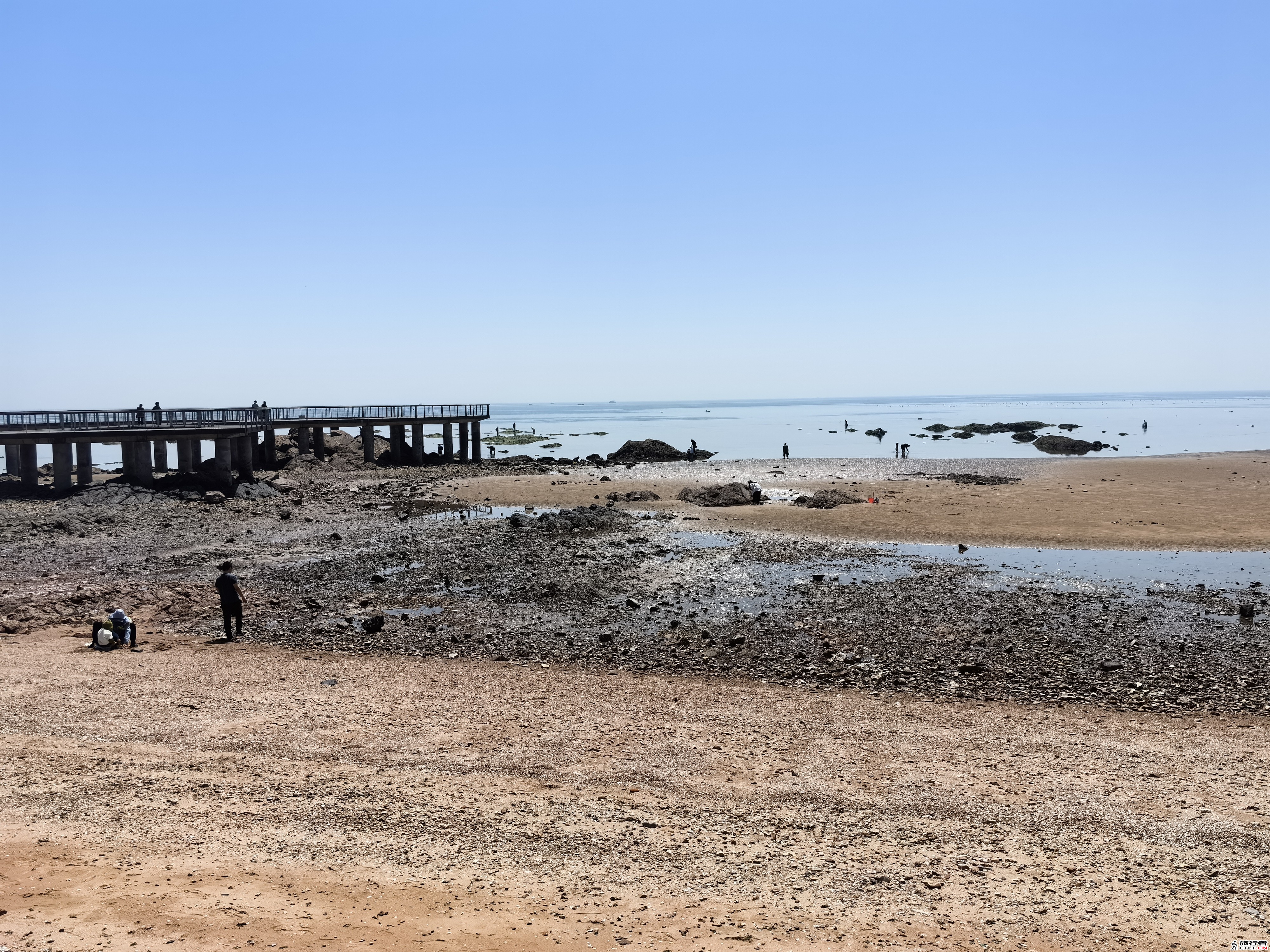 IMG_20240508_105652.jpg