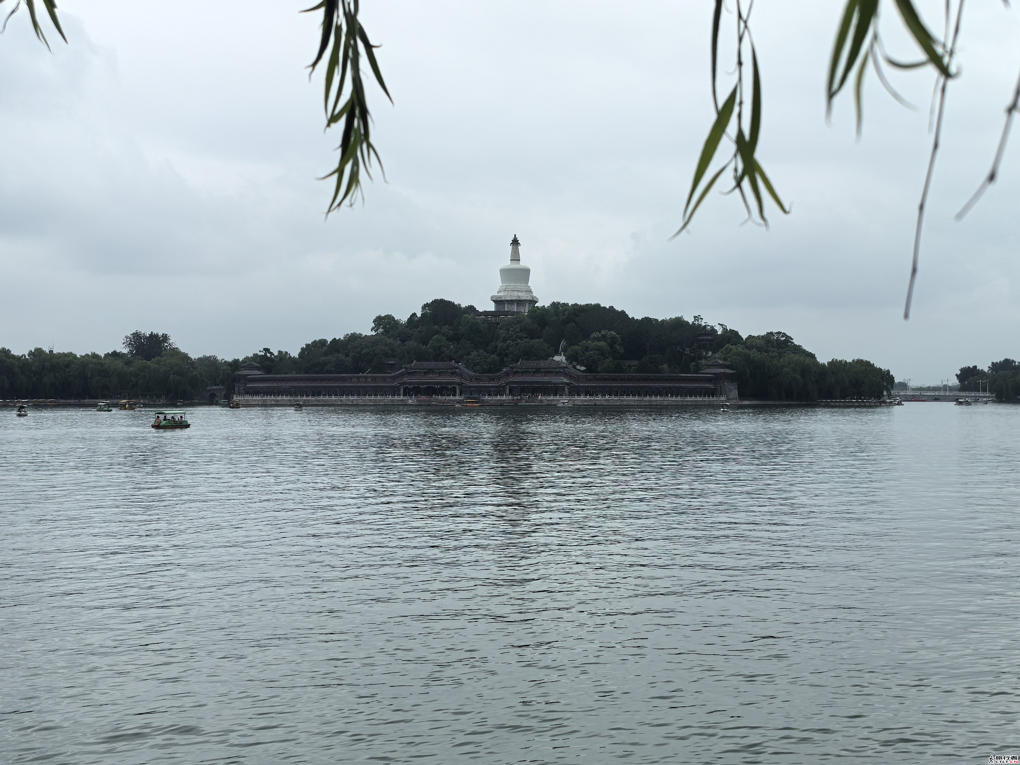 IMG_20240725_125809.jpg