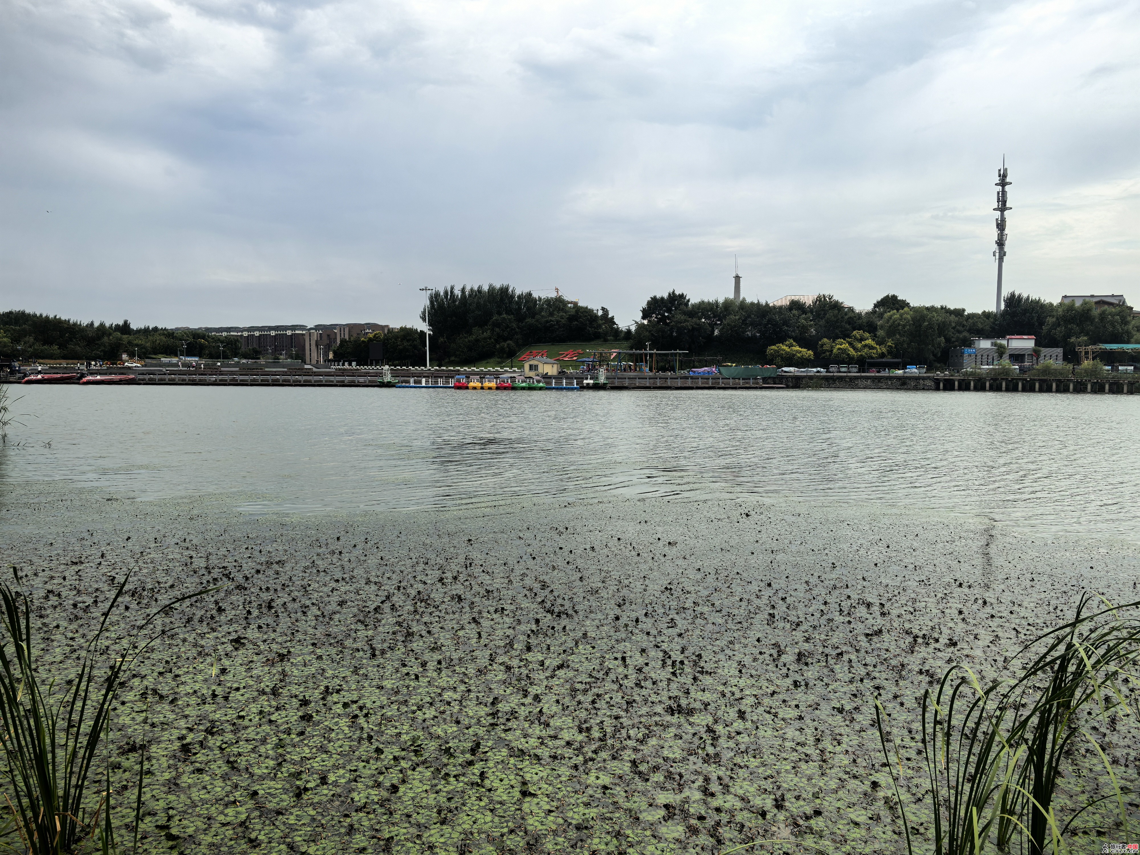 IMG_20250811_112537.jpg