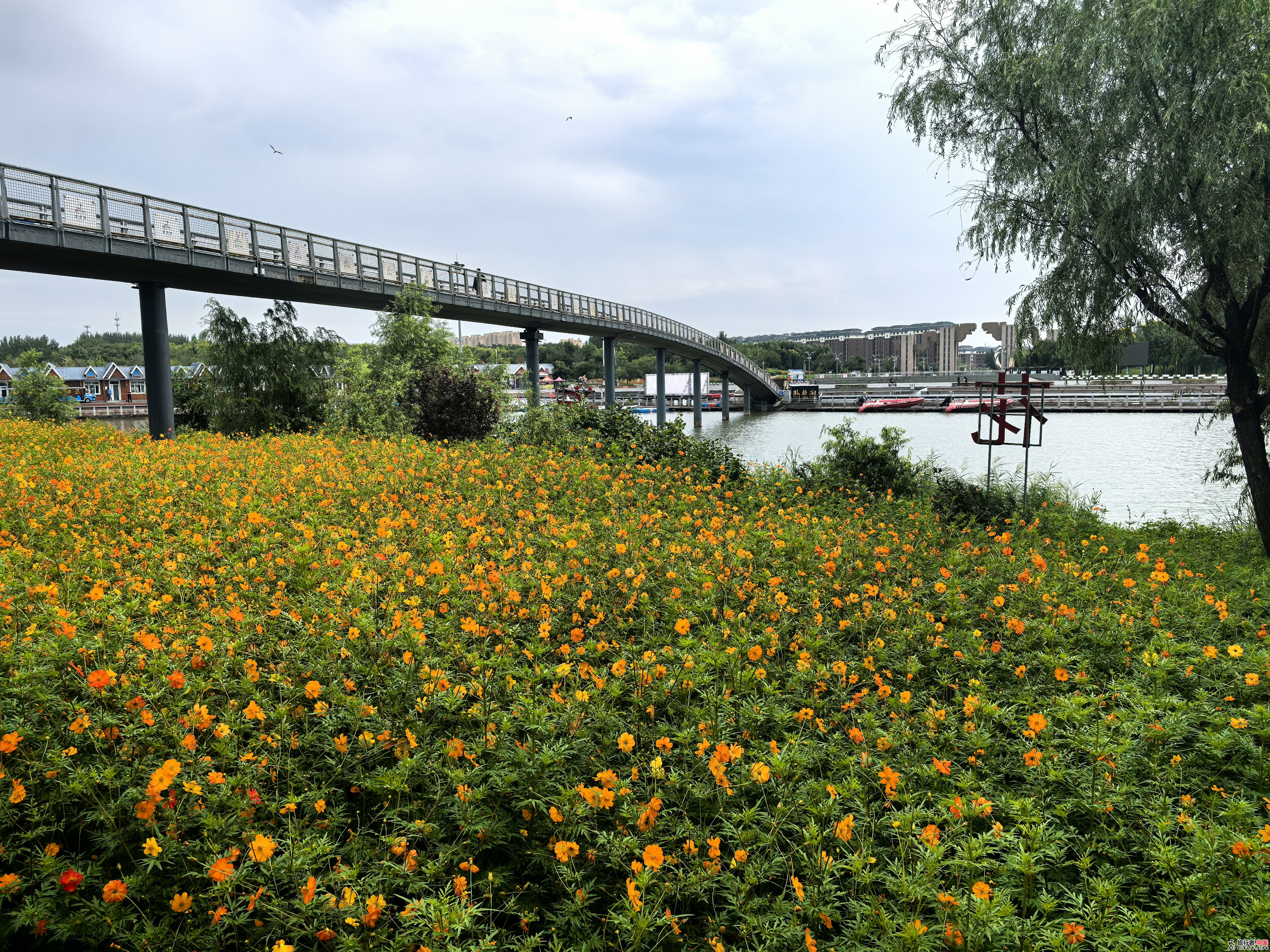 IMG_20250811_112648.jpg
