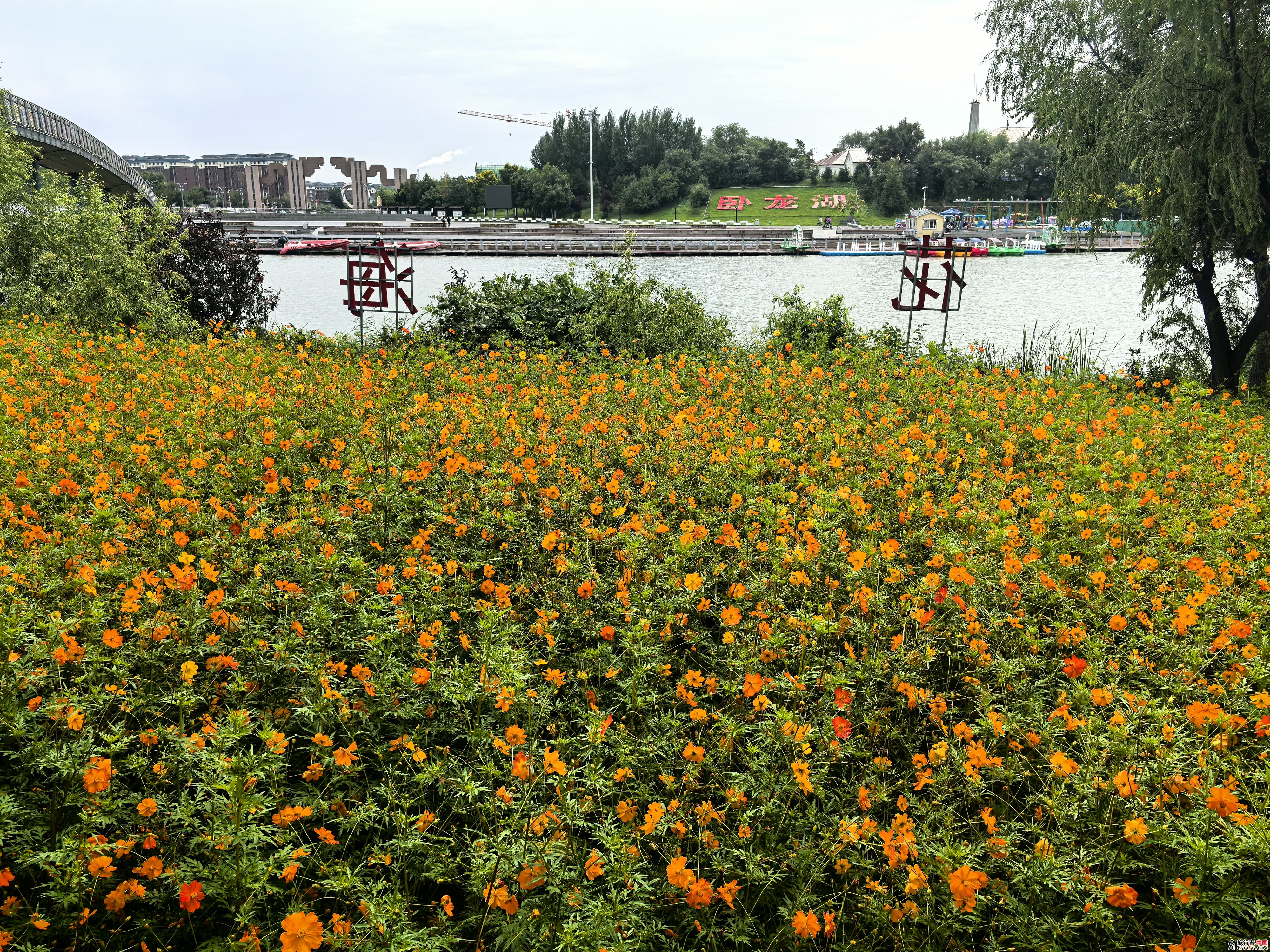 IMG_20250811_112707.jpg