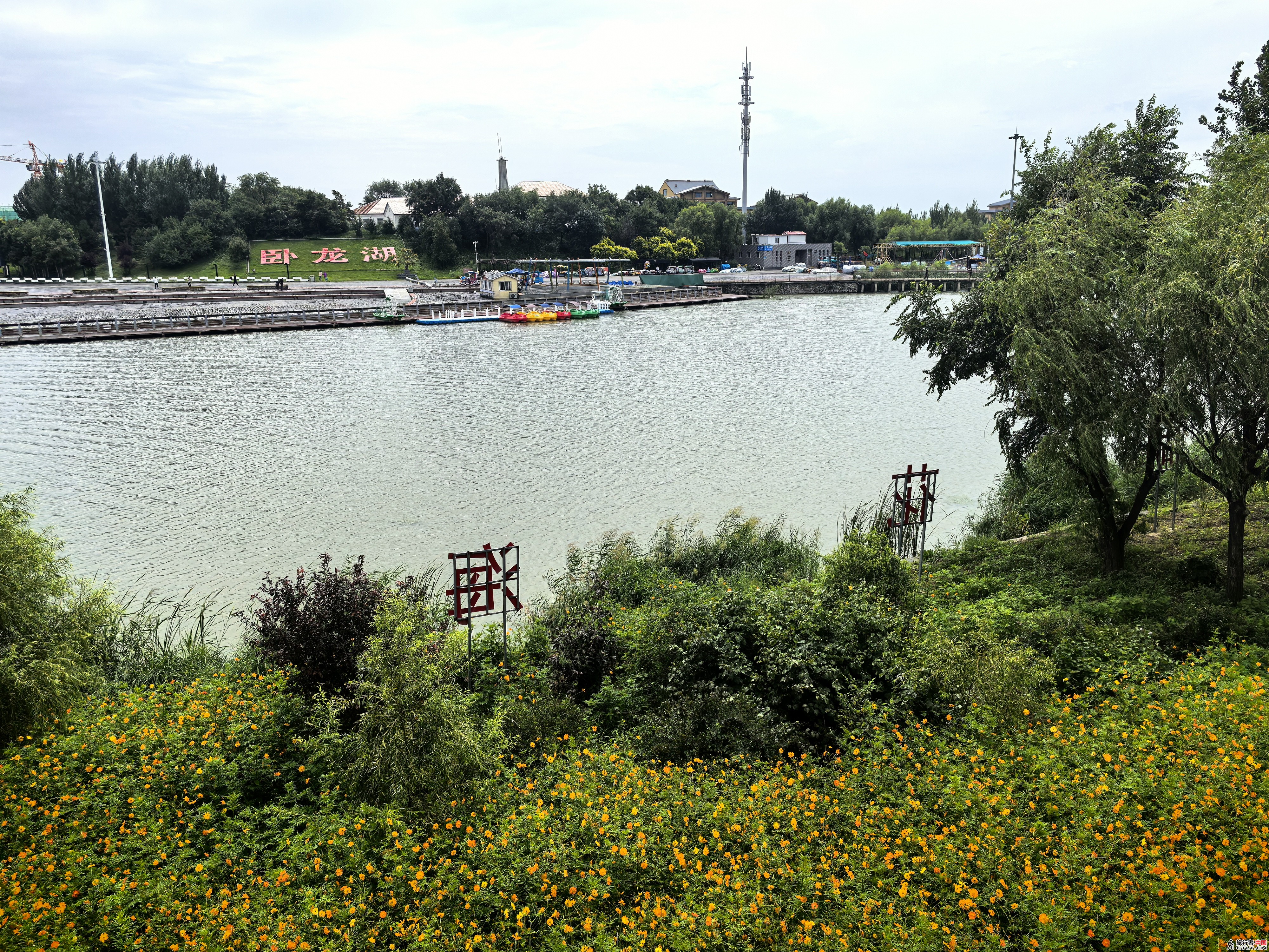 IMG_20250811_112859.jpg