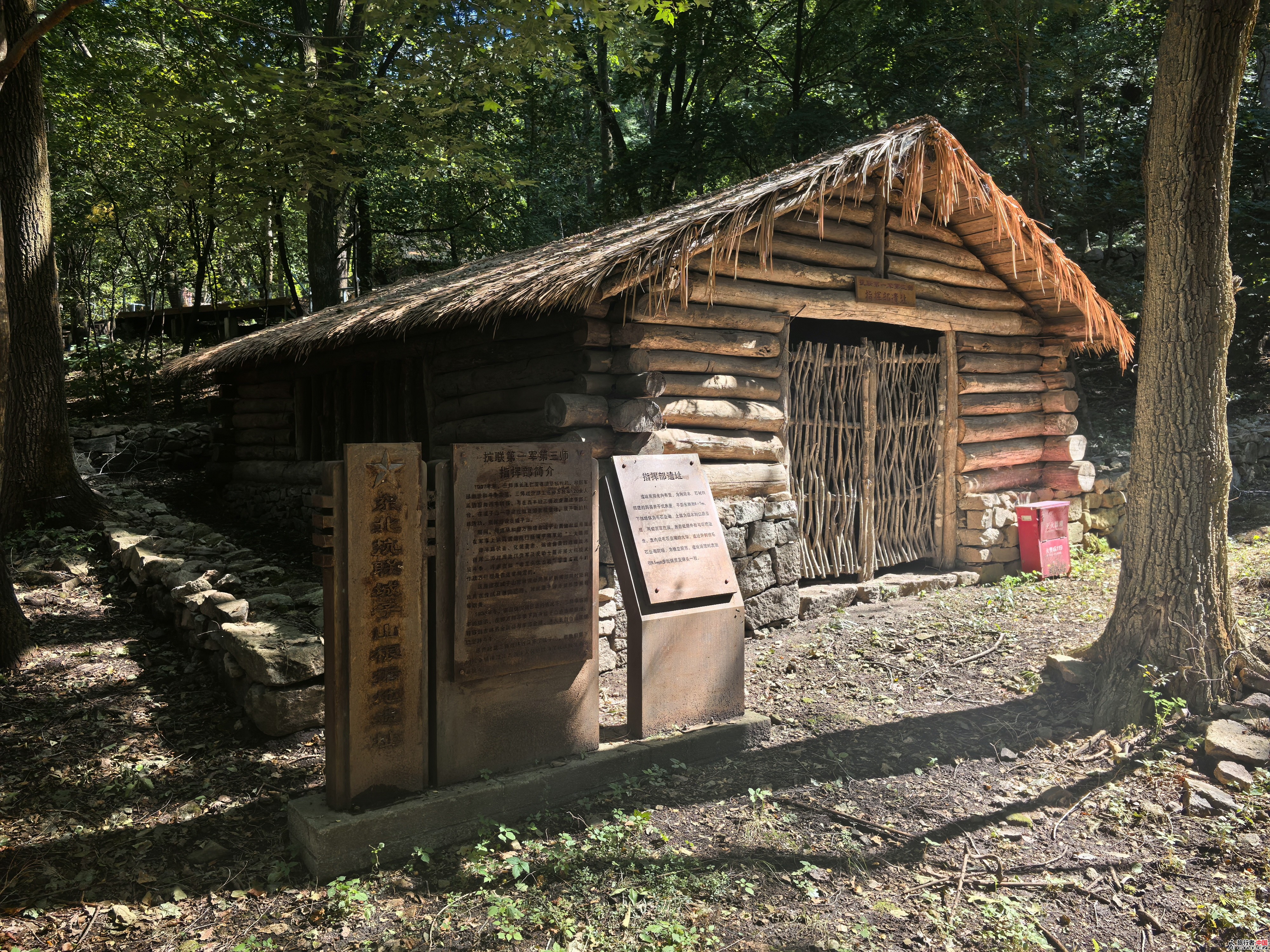 IMG_20250918_115117.jpg