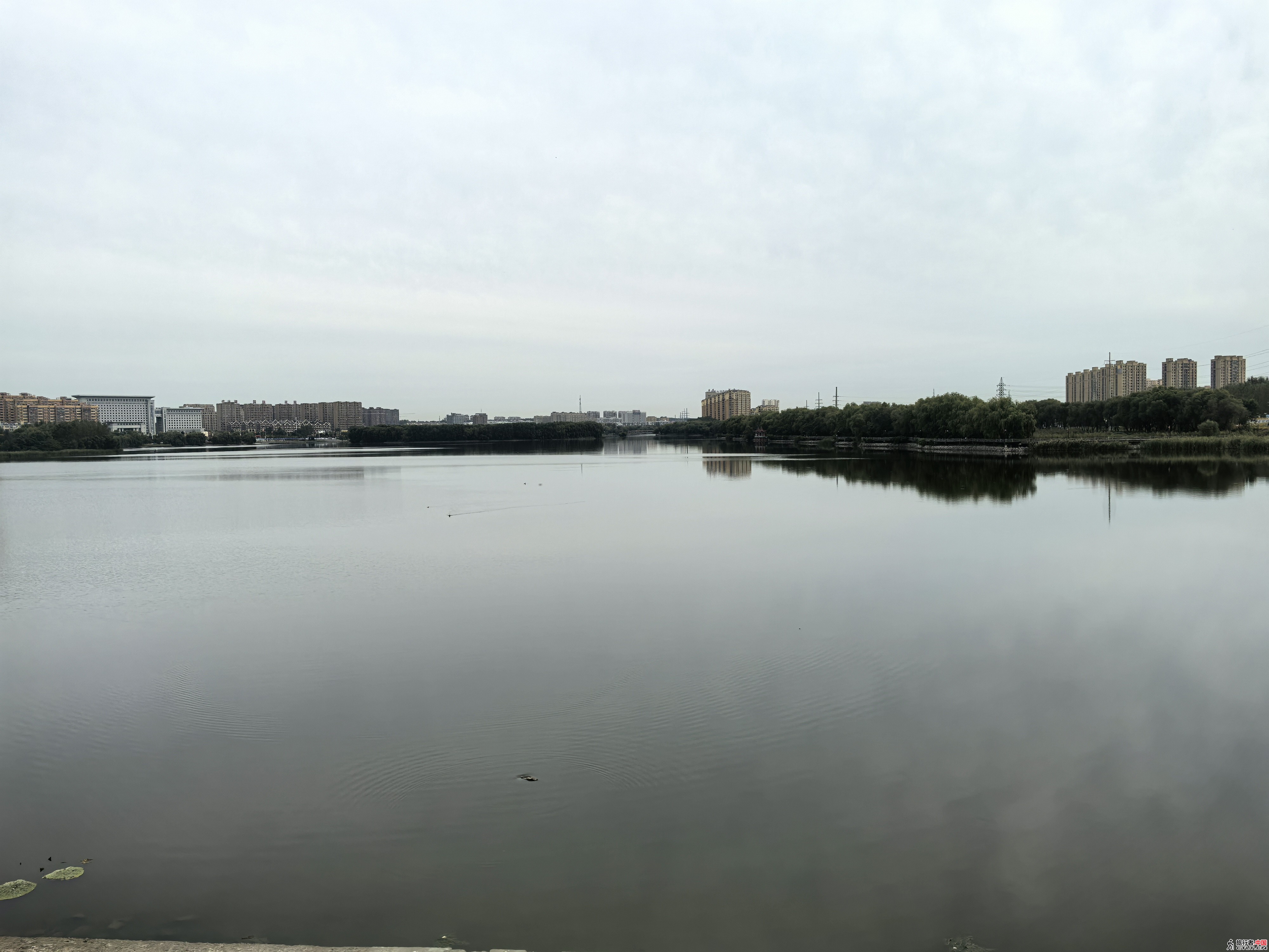 IMG_20250922_090111.jpg