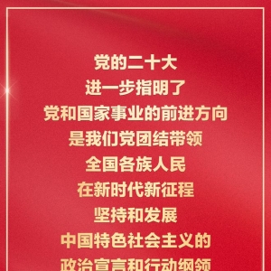 金句海报 | 把党的二十大重大决策部署付诸行动、见之于成效 ...