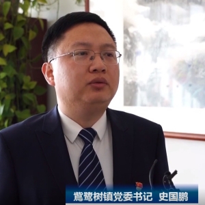 辽宁省昌图县鴜鹭树镇吹响全面振兴新突破三年行动攻坚战冲锋号 ...