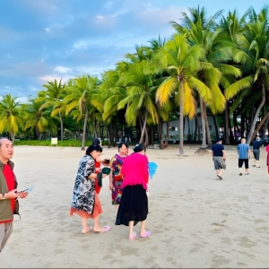 海南将推出银发旅游精品旅游线路 探索“冬南夏北”旅居养老模式 ...