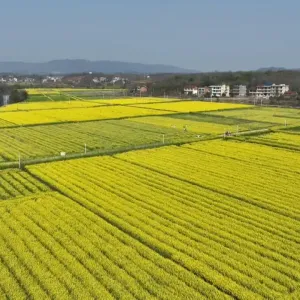 繁花似锦 祁阳乡村旅游焕发新活力