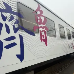 串起11市22站点200多家景区！“好客山东·齐鲁1号”旅游列车即将发车 ...