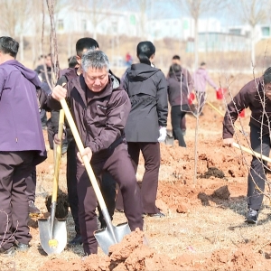 辽宁省昌图县委书记范磊等县领导带领机关干部开展义务植树活动 ...