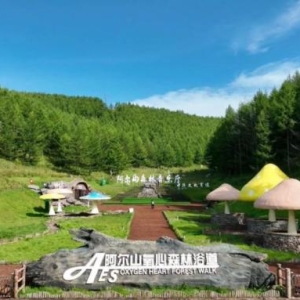 【阿尔山旅游发展】赴阿尔山清凉之约，打造今夏避暑“顶流” ...